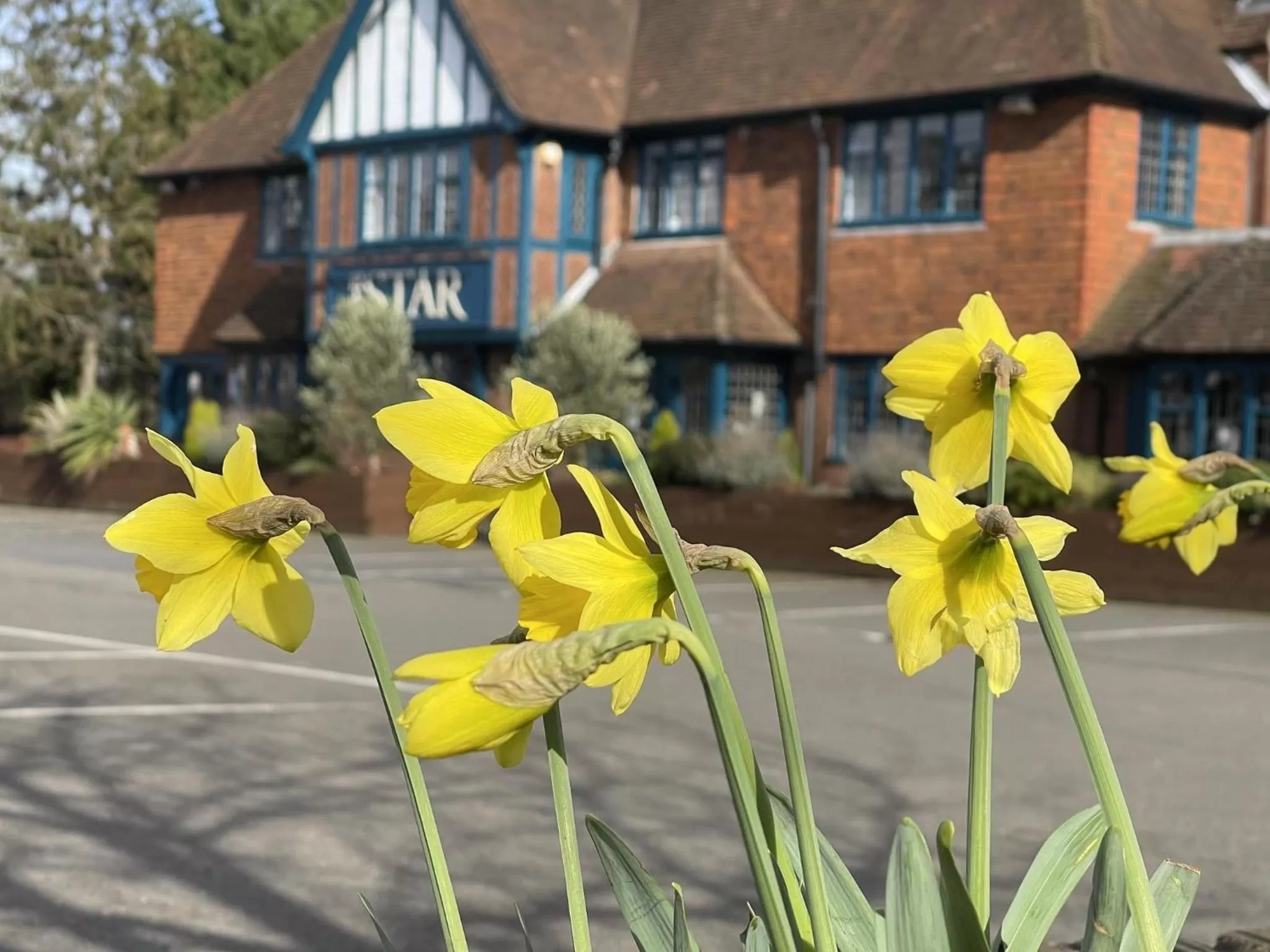 Property building in The Star Inn