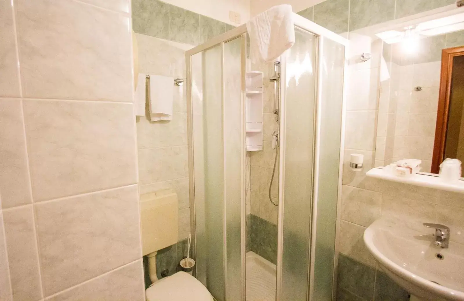 Bathroom in Hotel Maxim Axial