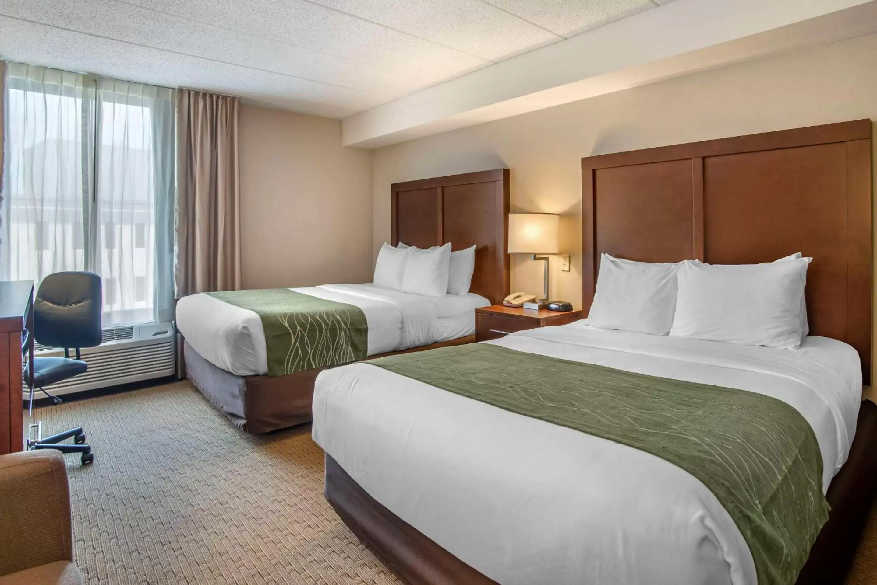 Bedroom, Bed in Comfort Inn Shady Grove - Gaithersburg - Rockville