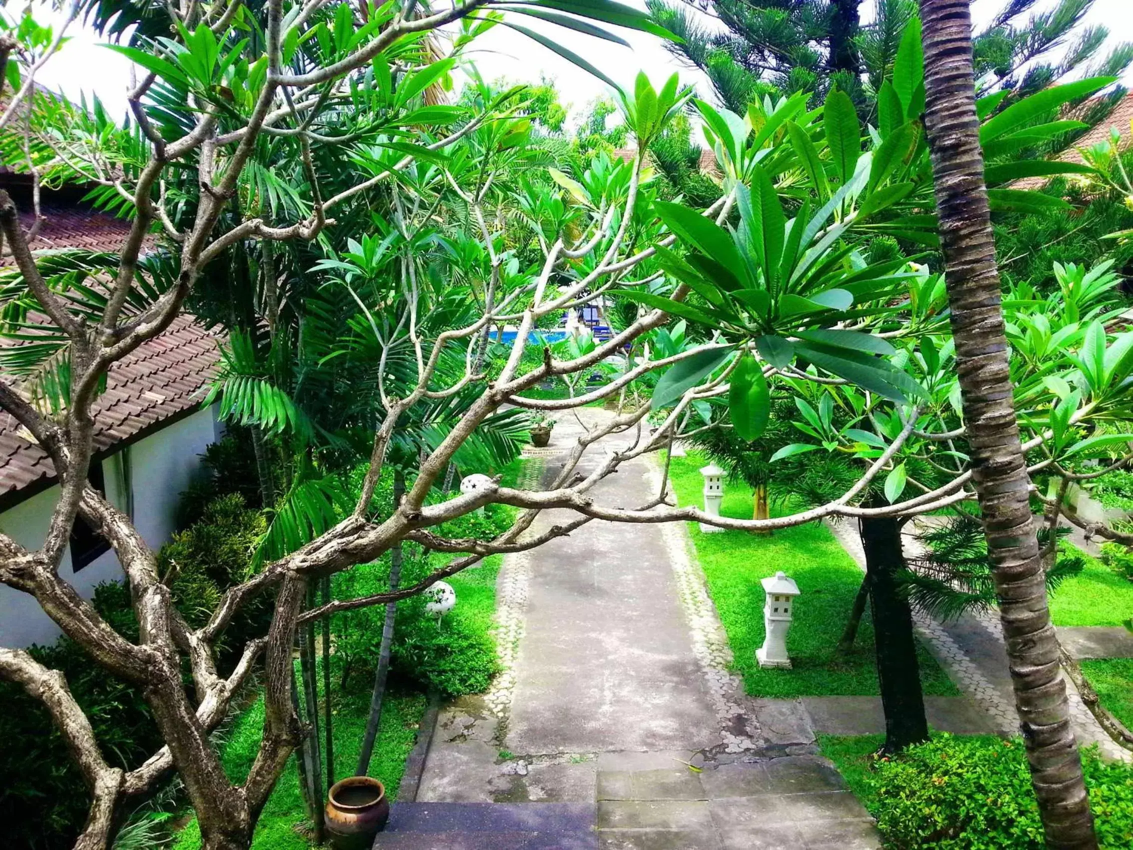 Garden, Swimming Pool in Legian Paradiso Hotel