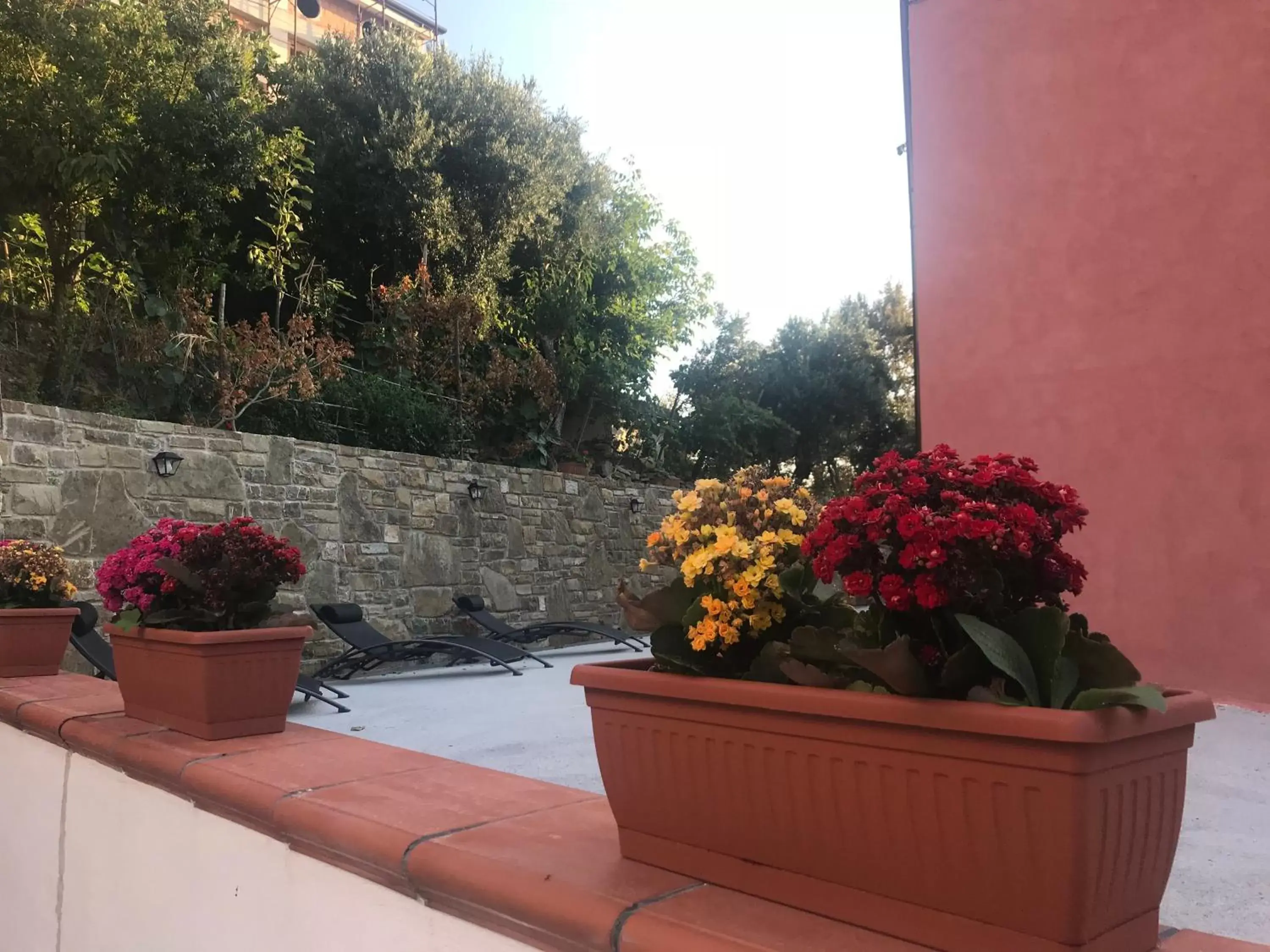 Garden view in Cilento