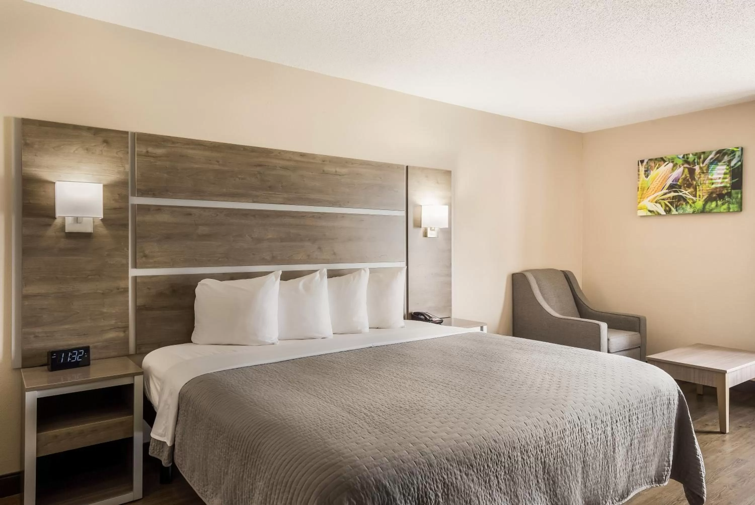 Bed in Hometown Inn Thomasville