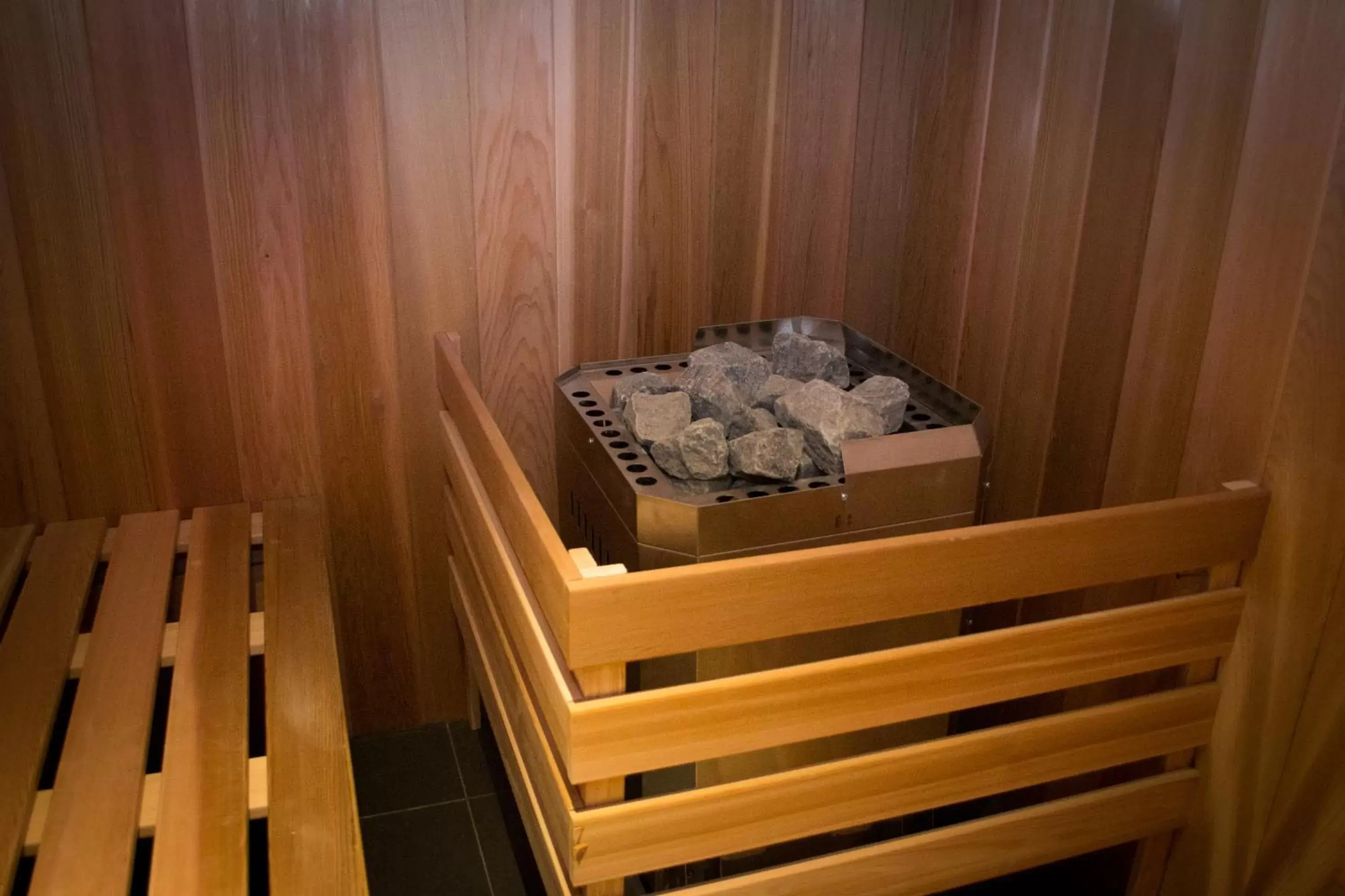 Sauna in Hotel V