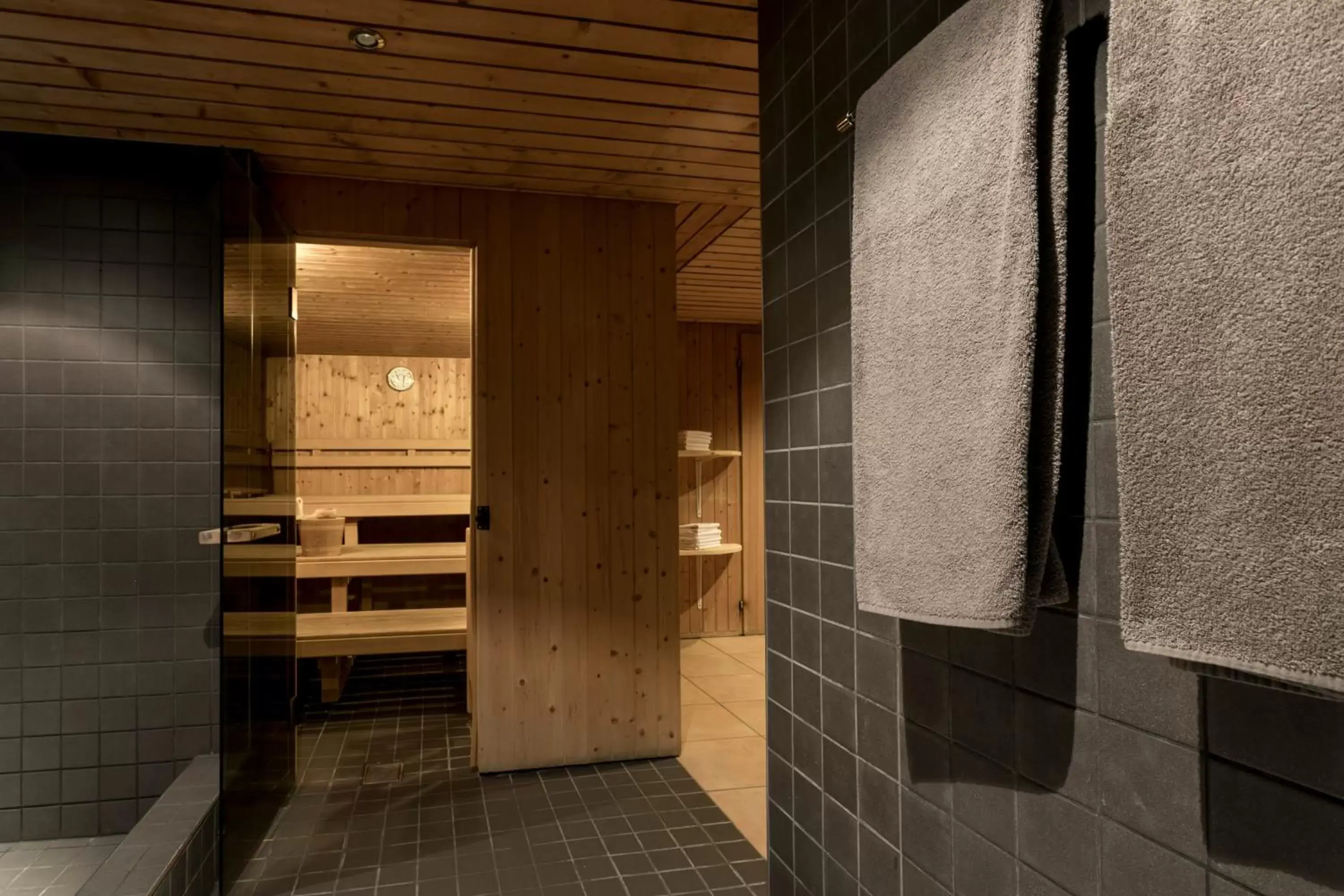 Sauna, Bathroom in T3 Alpenhotel Flims