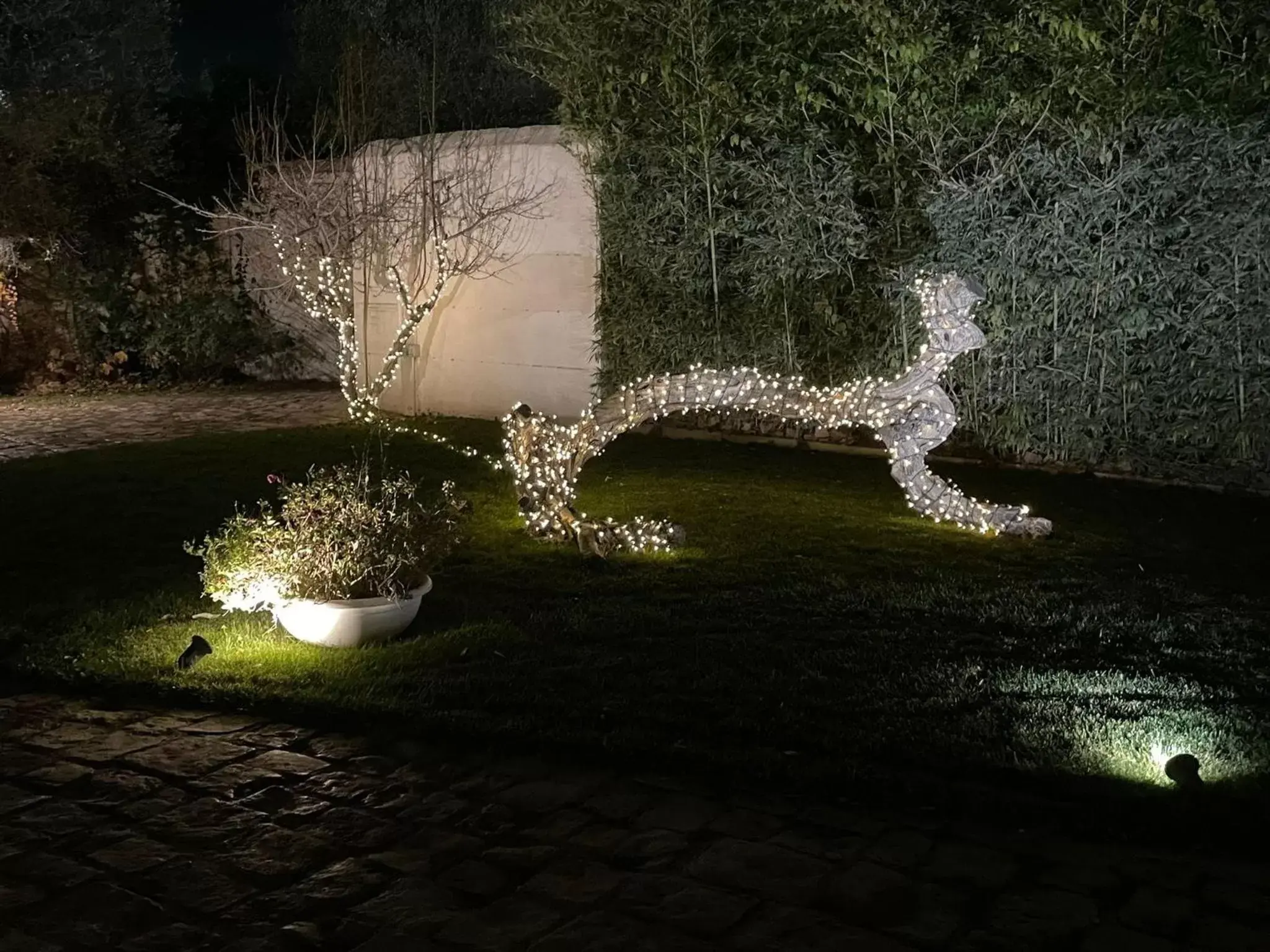 Garden in Hotel Torre Domini