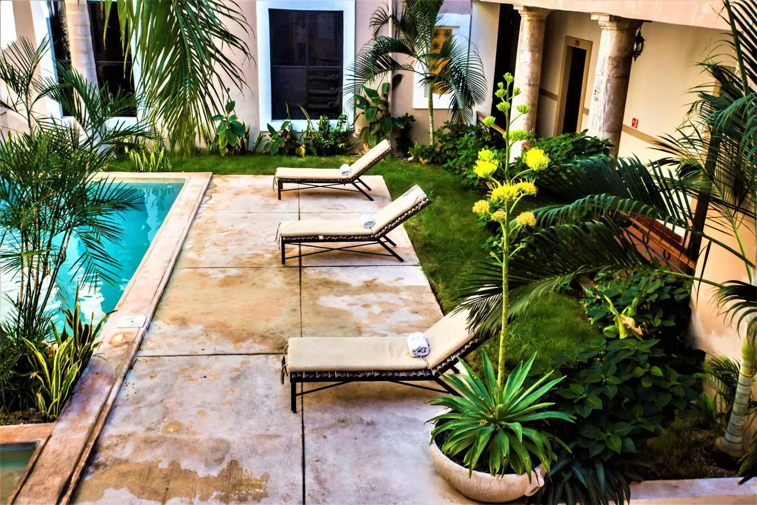 Garden, Swimming Pool in Hotel Merida