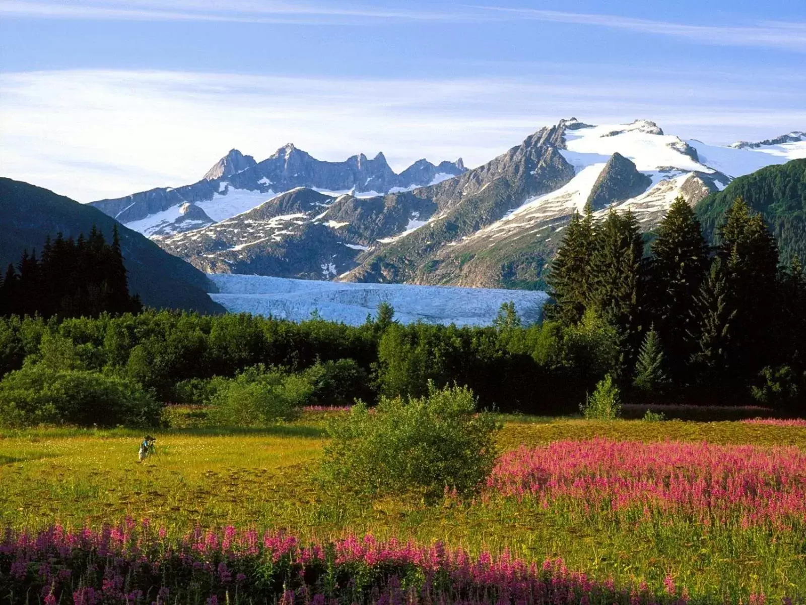 Natural landscape in Travelodge by Wyndham Juneau