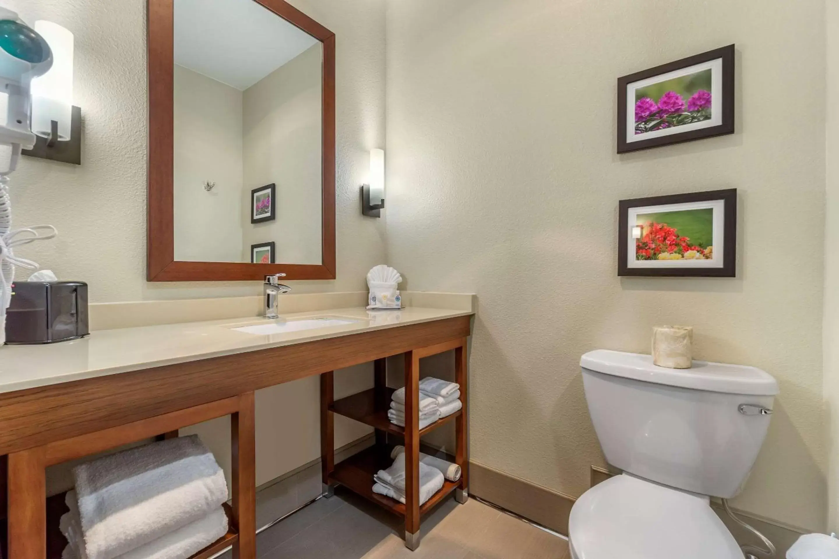 Bathroom in Comfort Inn & Suites Lakewood by JBLM