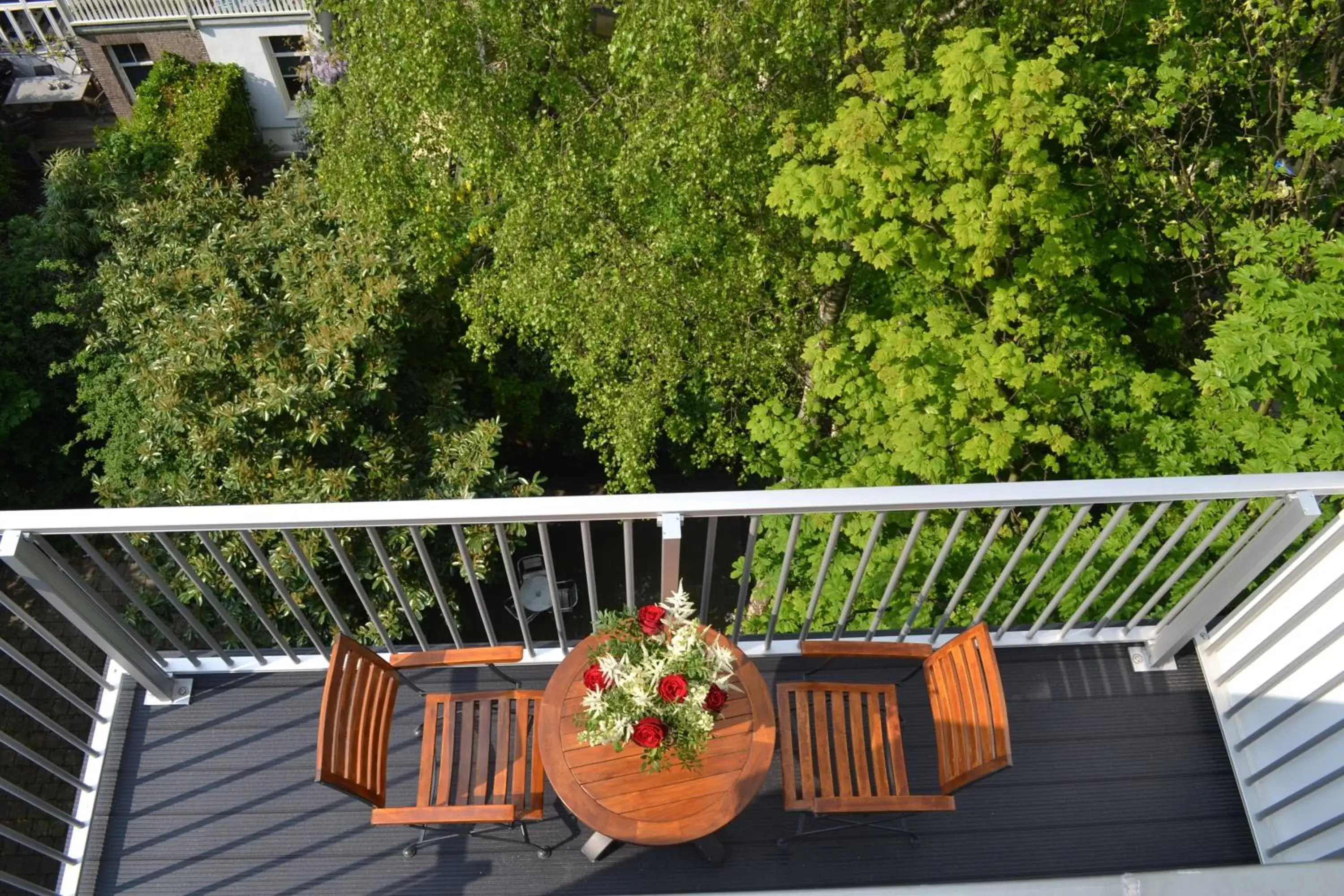 Balcony/Terrace in Alp Hotel