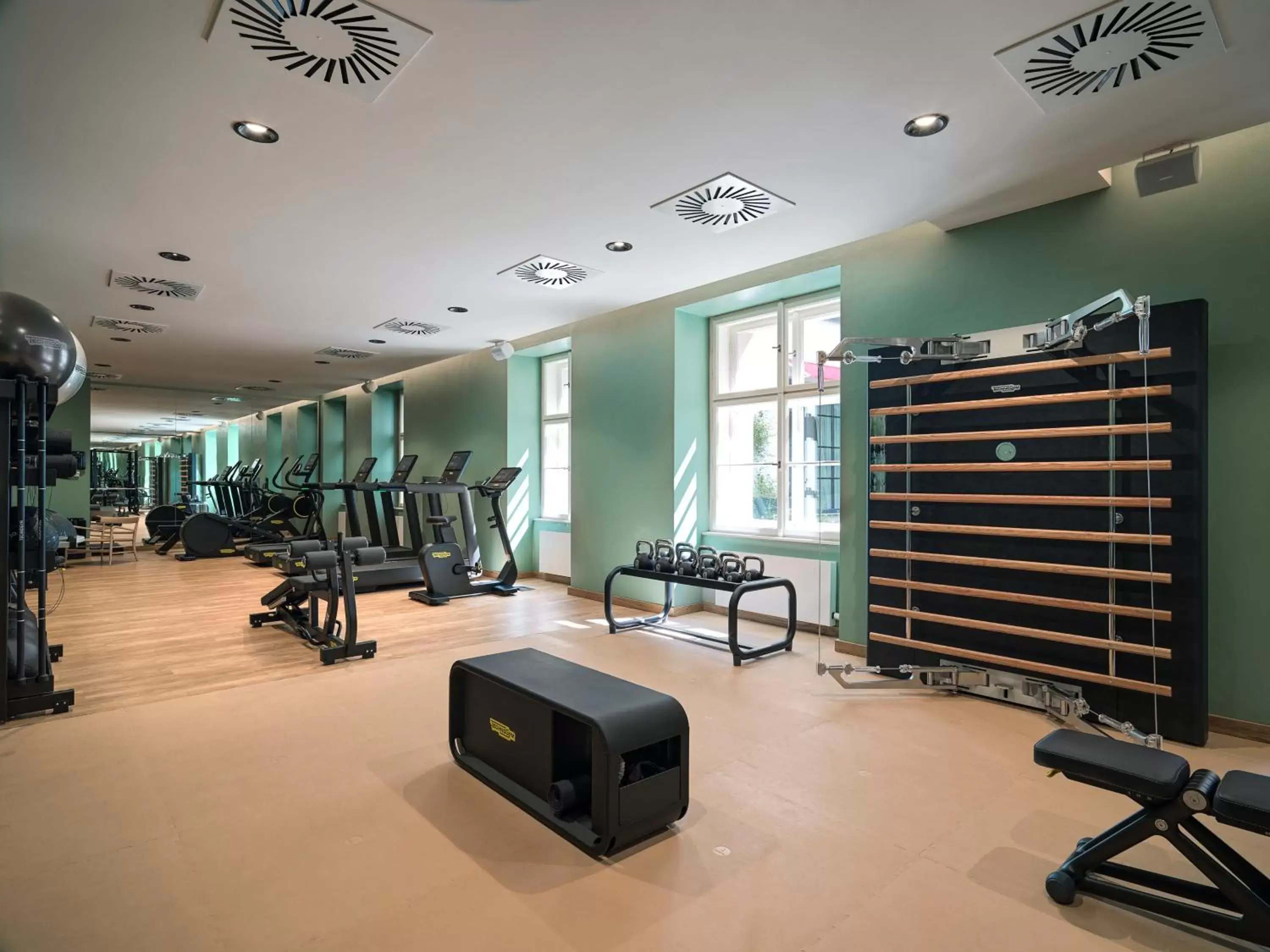 Fitness centre/facilities, Fitness Center/Facilities in The Julius Prague