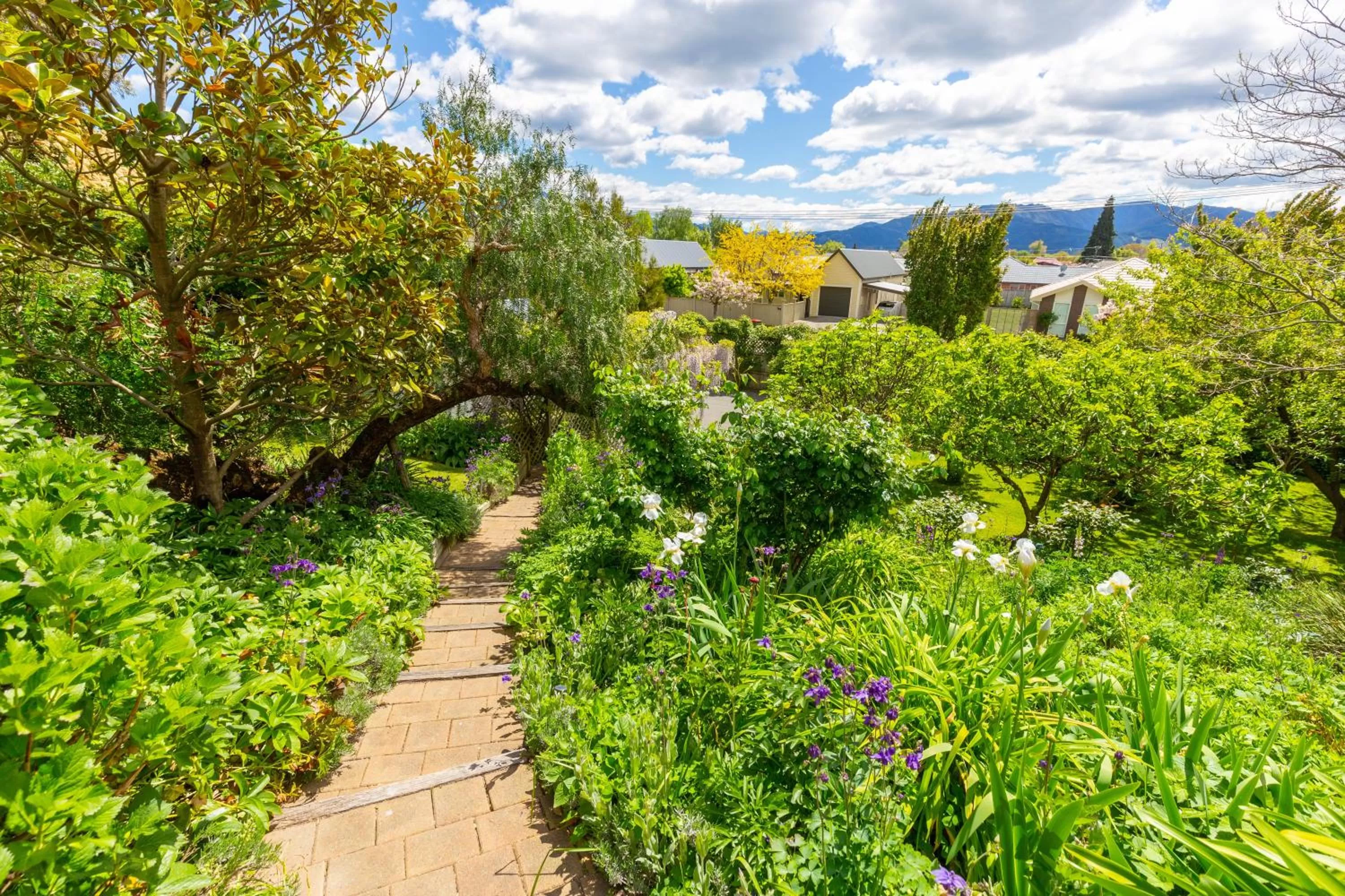 Olde Mill House B&B & Bike2Wine cycle hire