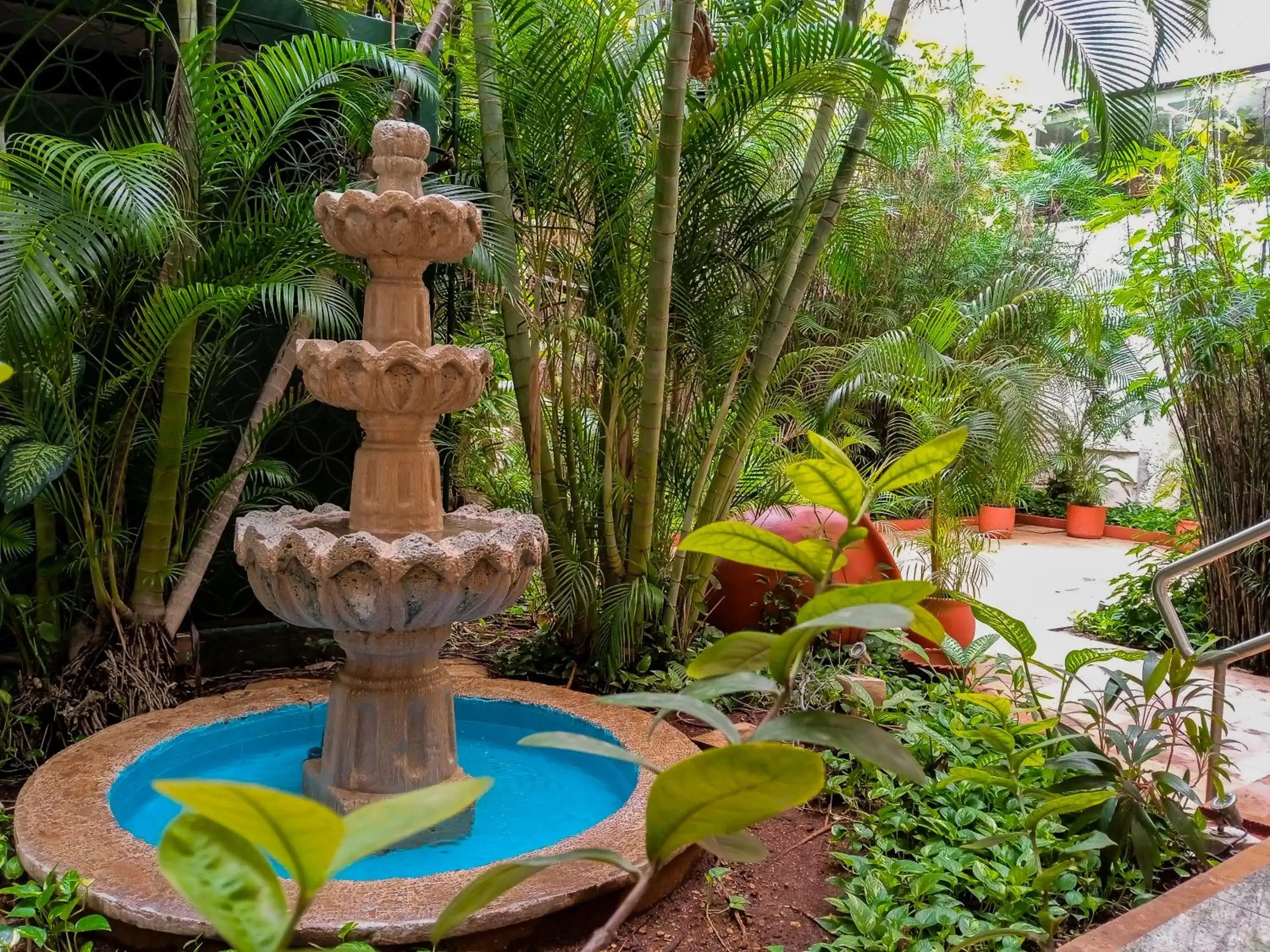 Garden, Swimming Pool in Hotel Los Aluxes