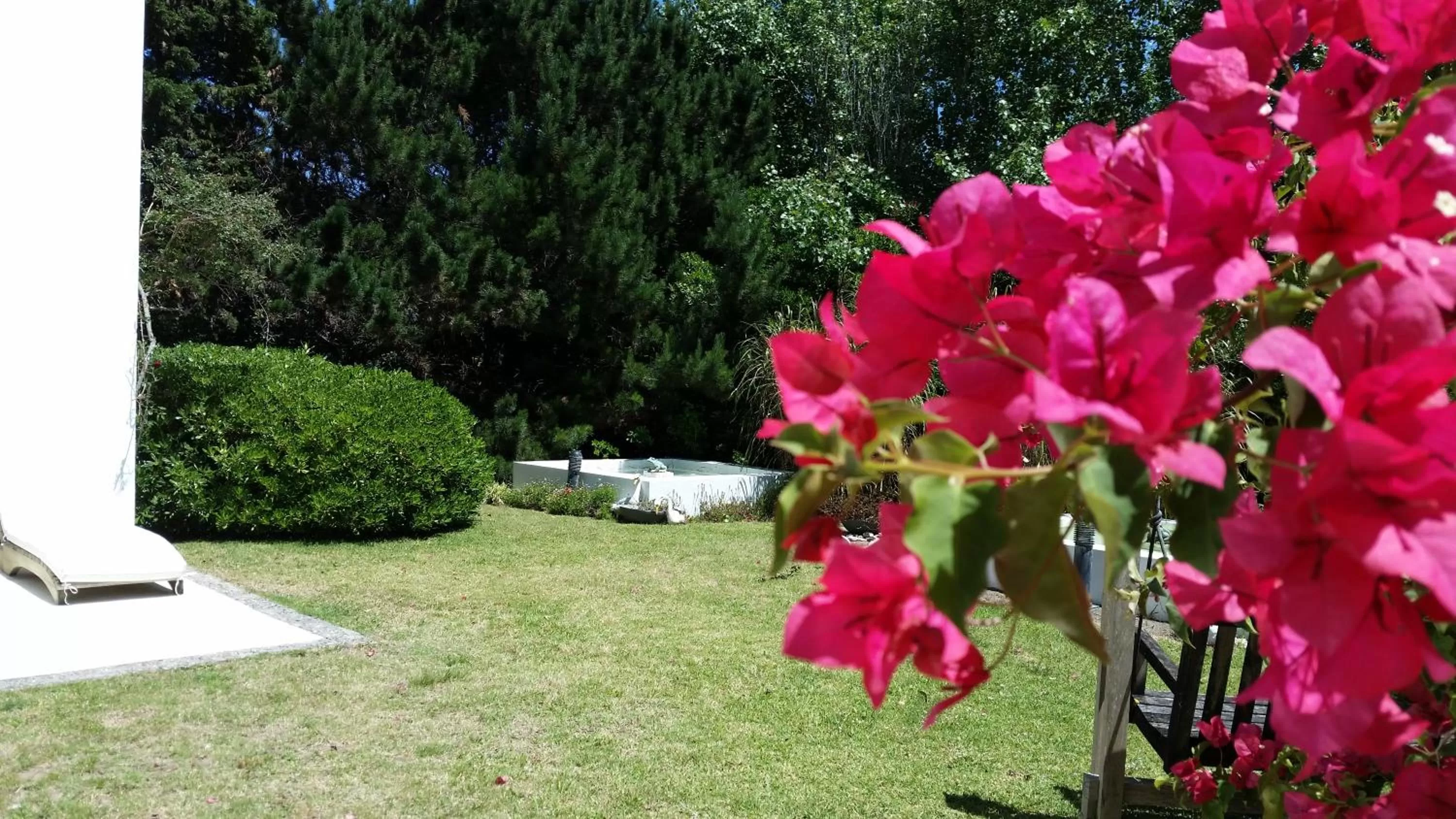 Patio in Posada de los Pajaros