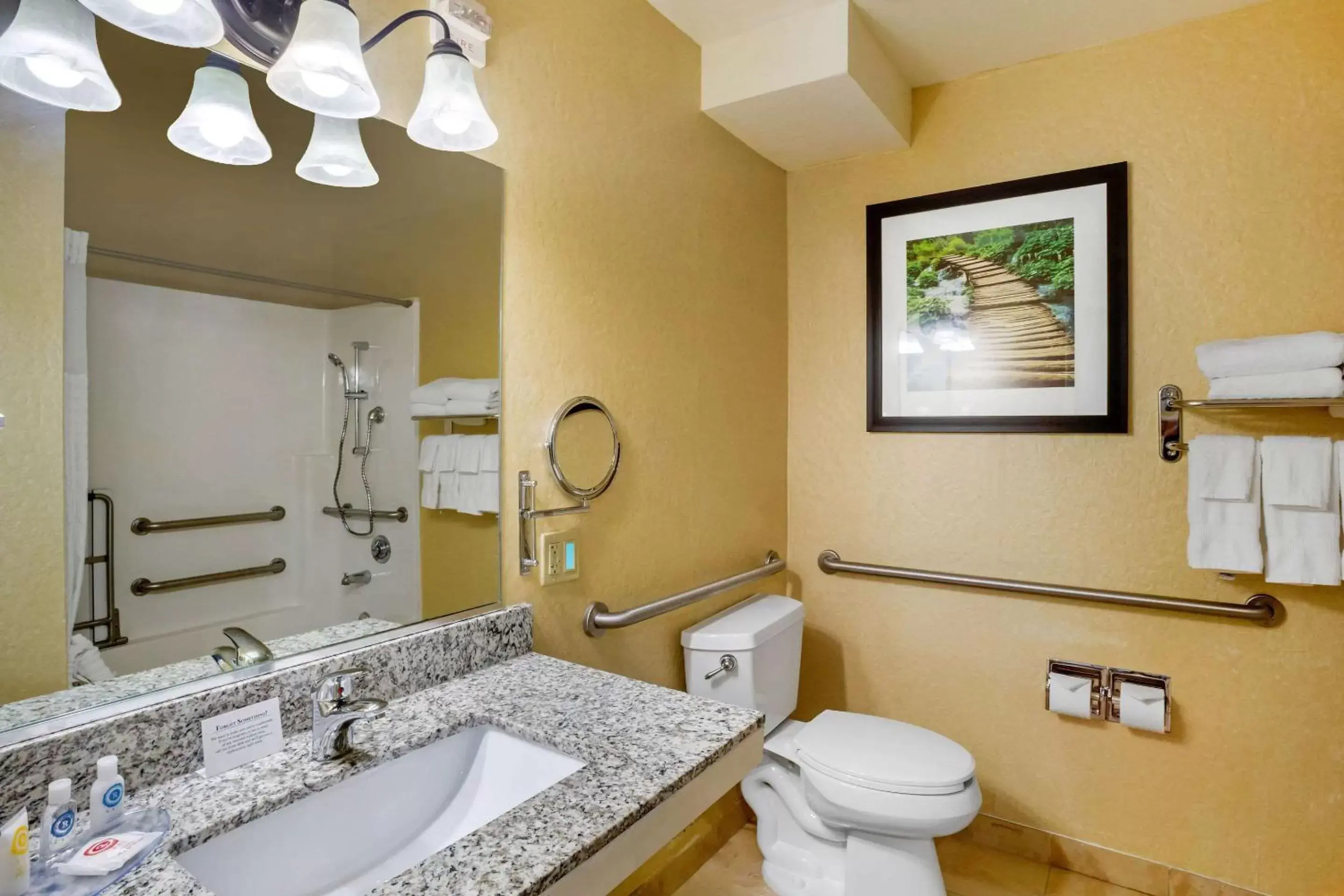 Photo of the whole room, Bathroom in Comfort Inn Castro Valley