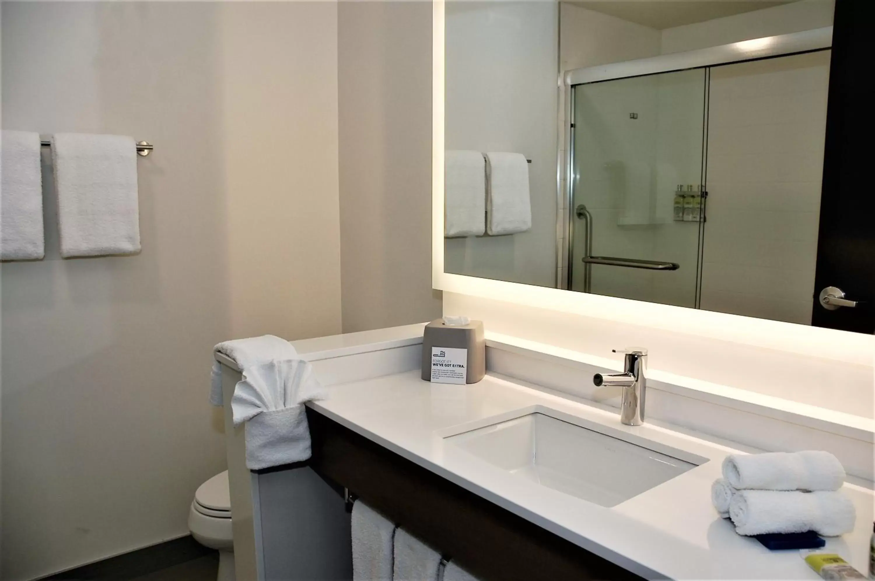 Bathroom in Holiday Inn Express & Suites - Edmonton SW – Windermere, an IHG Hotel