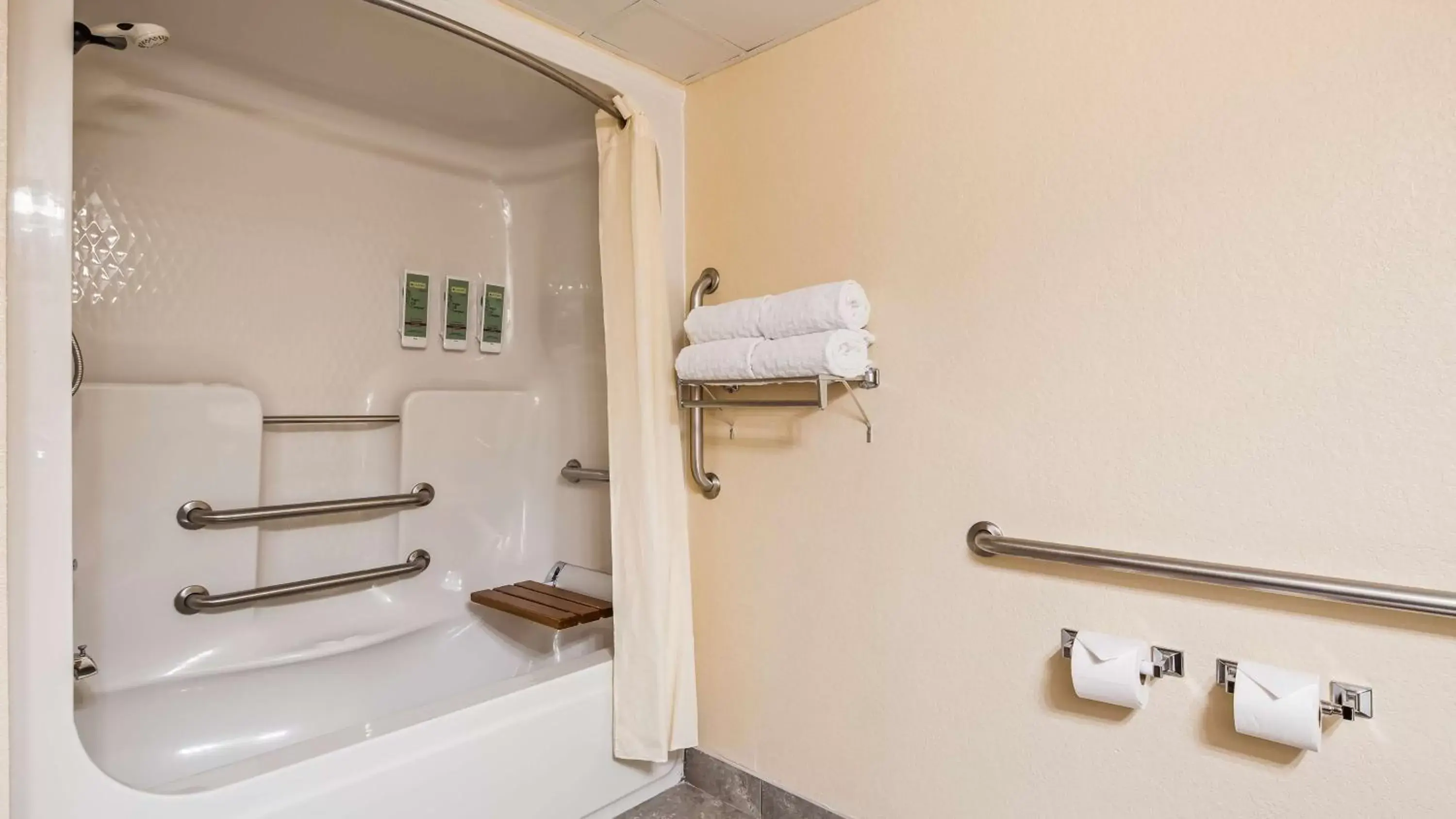 Bathroom in Best Western Center Pointe Inn