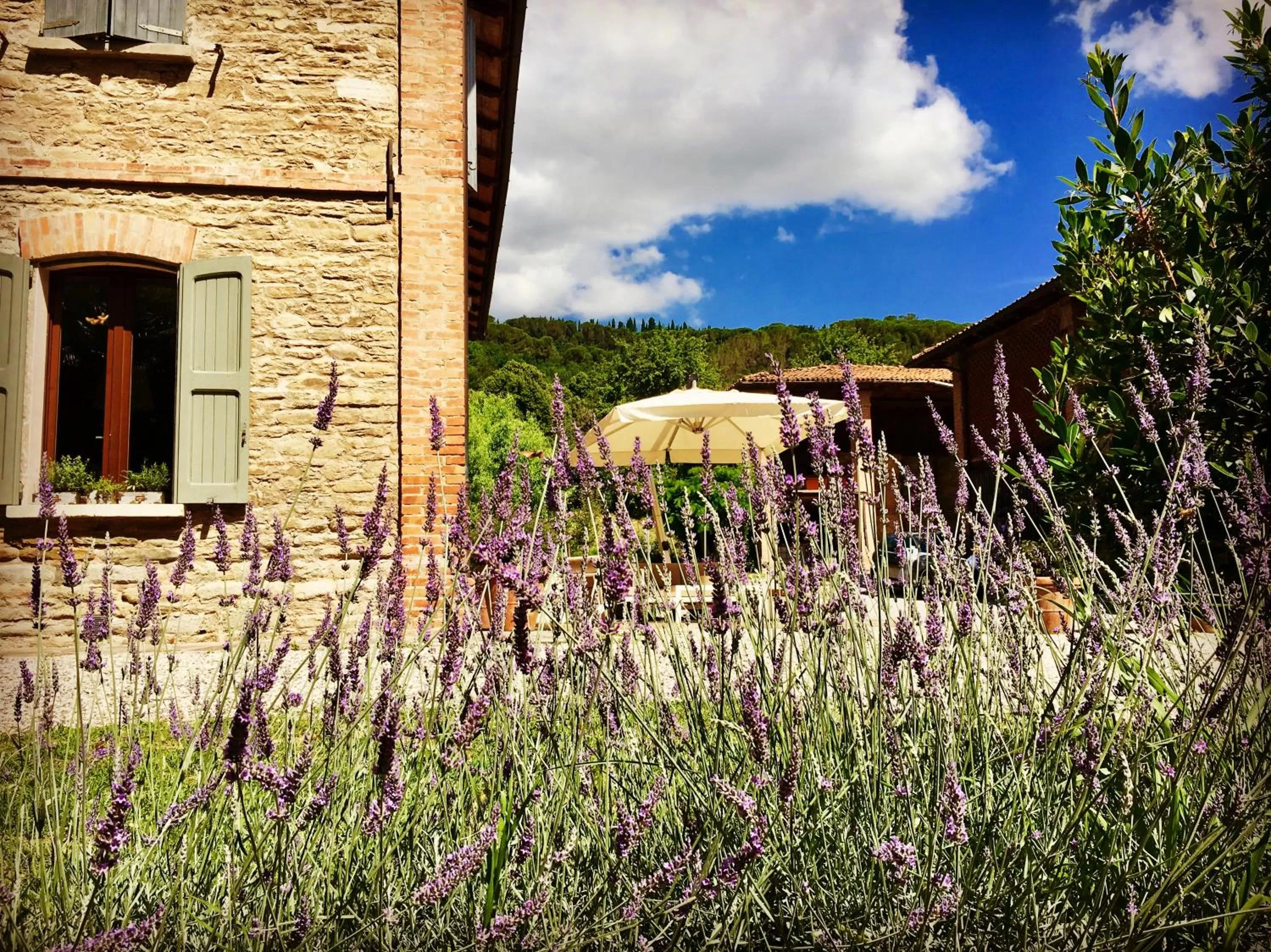 Facade/entrance in Il Cardello Locanda