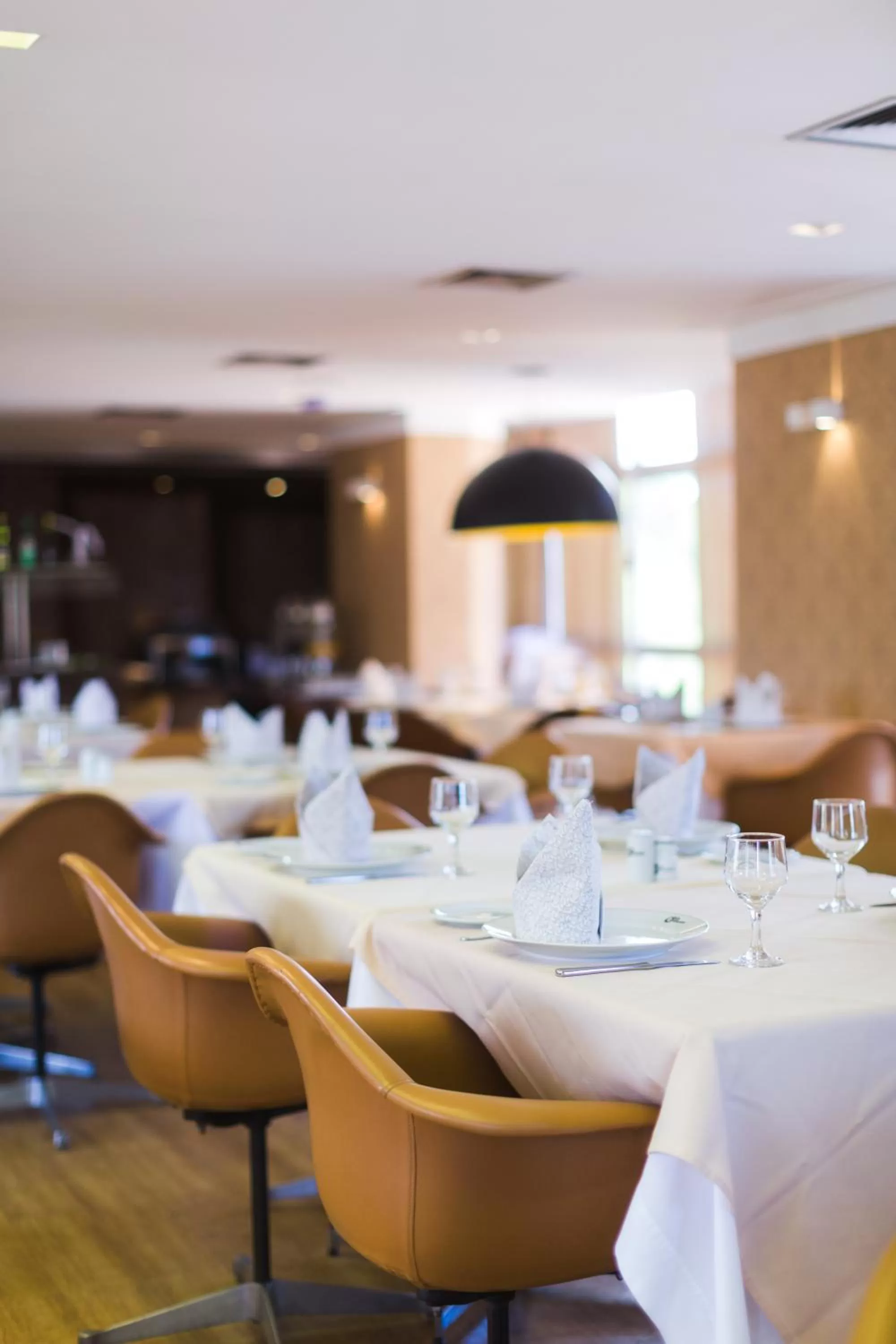 Restaurant/places to eat in América Bittar Hotel