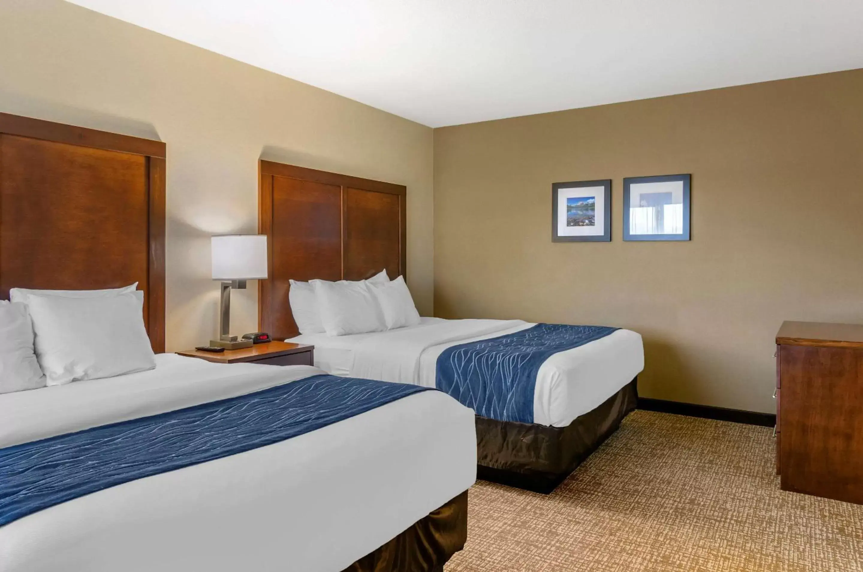 Photo of the whole room, Bed in Comfort Inn Bozeman near University
