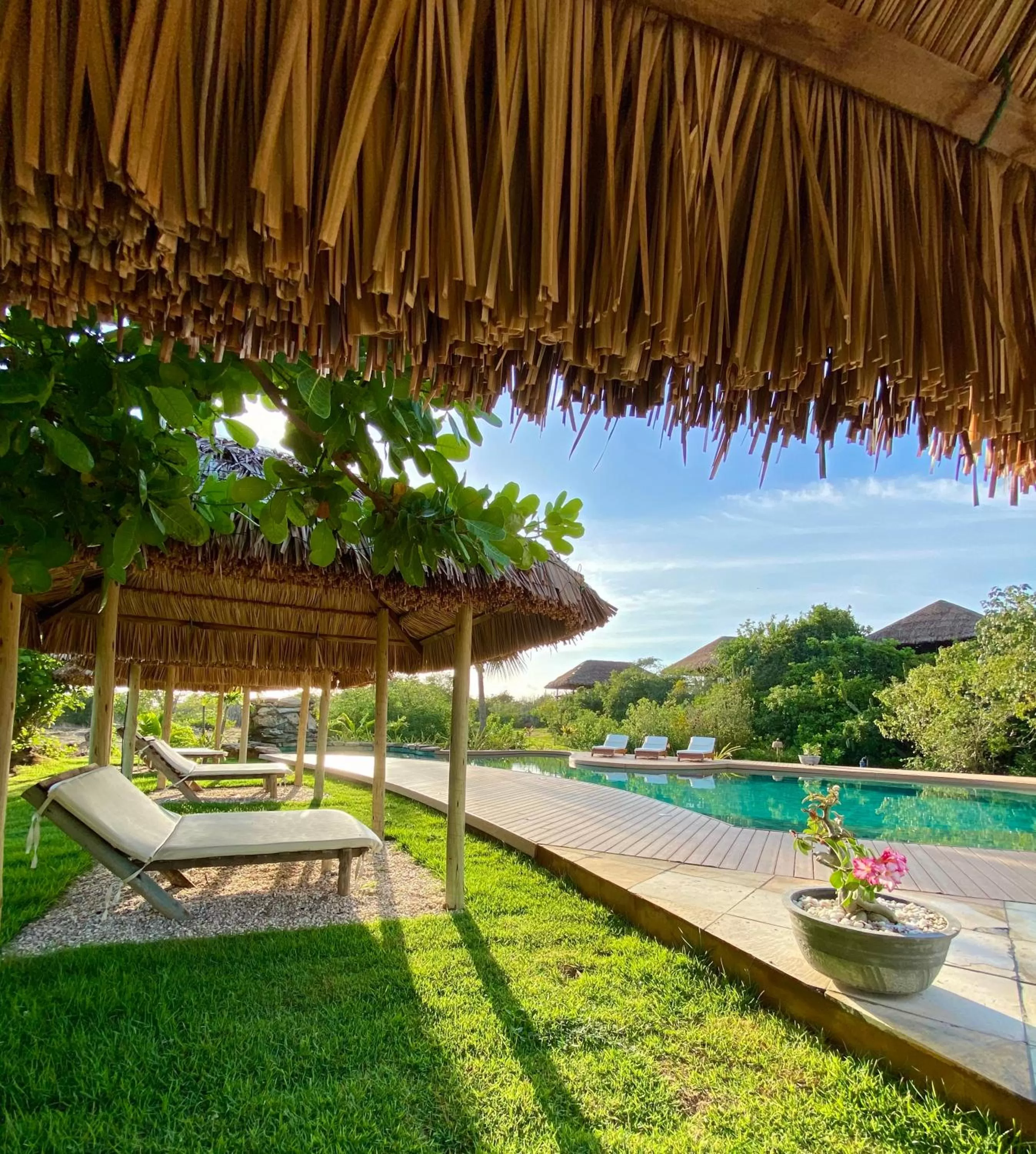 Swimming pool in Kauli Seadi Beach Hotel