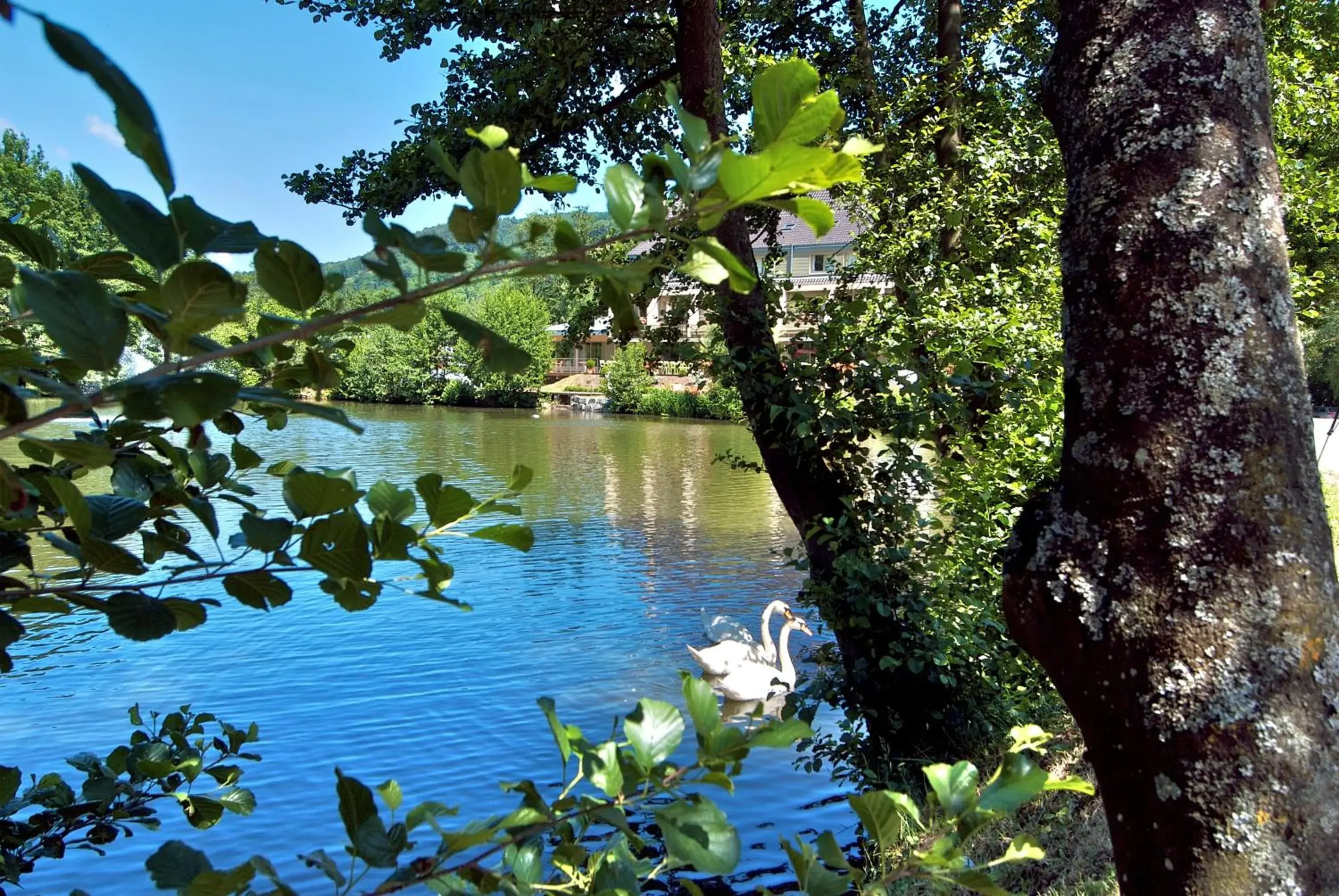 Area and facilities, Lake View in Hotel Du Lac