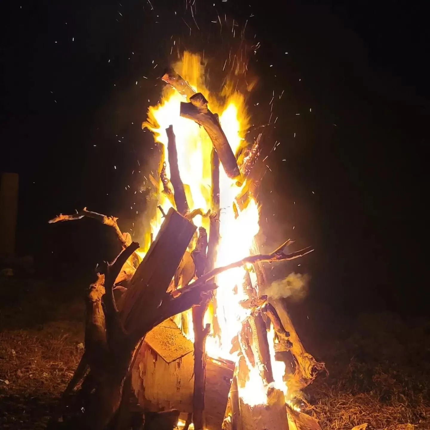 Activities in Blue Paloma Bed & Breakfast