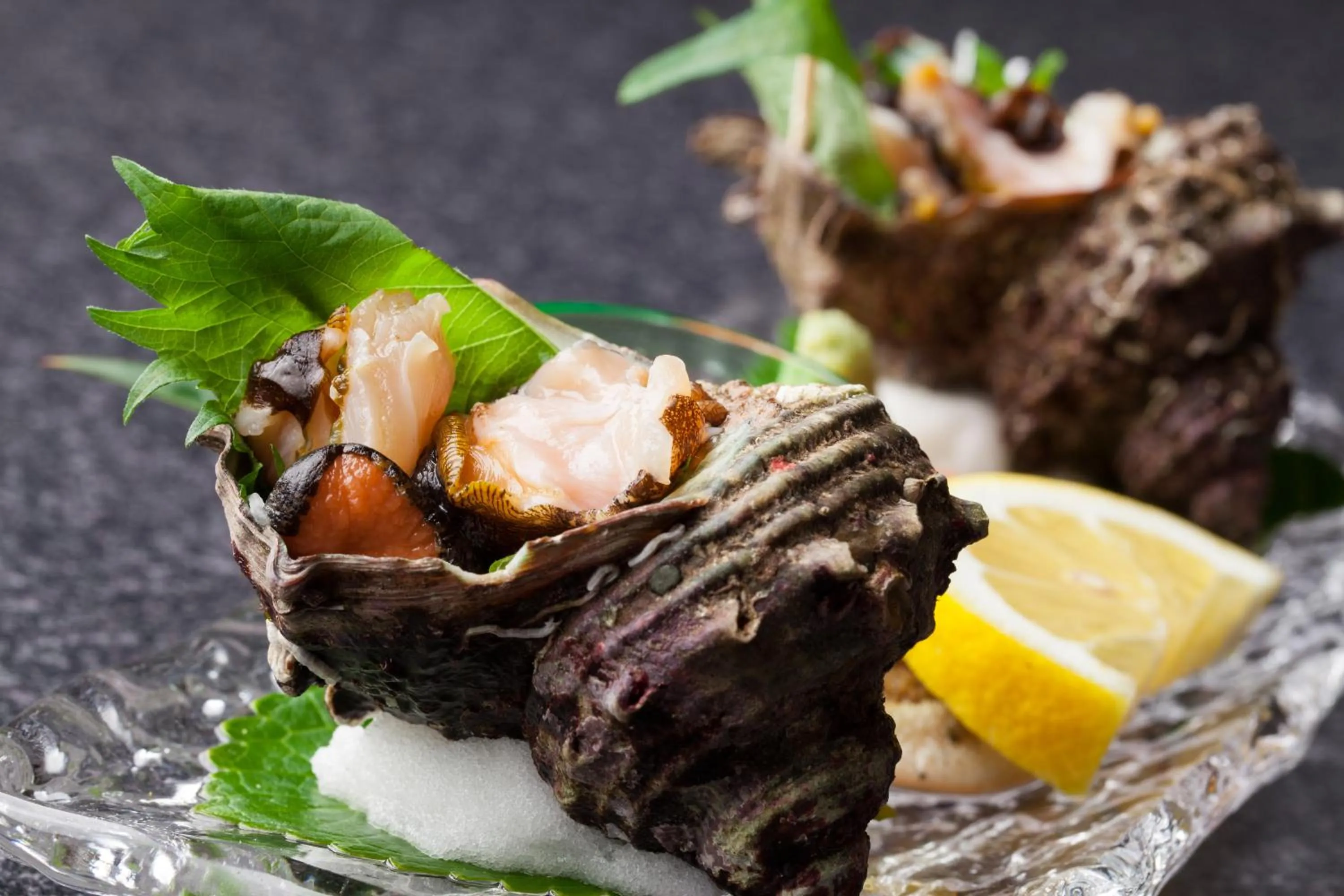 Food and drinks in Mikuniya