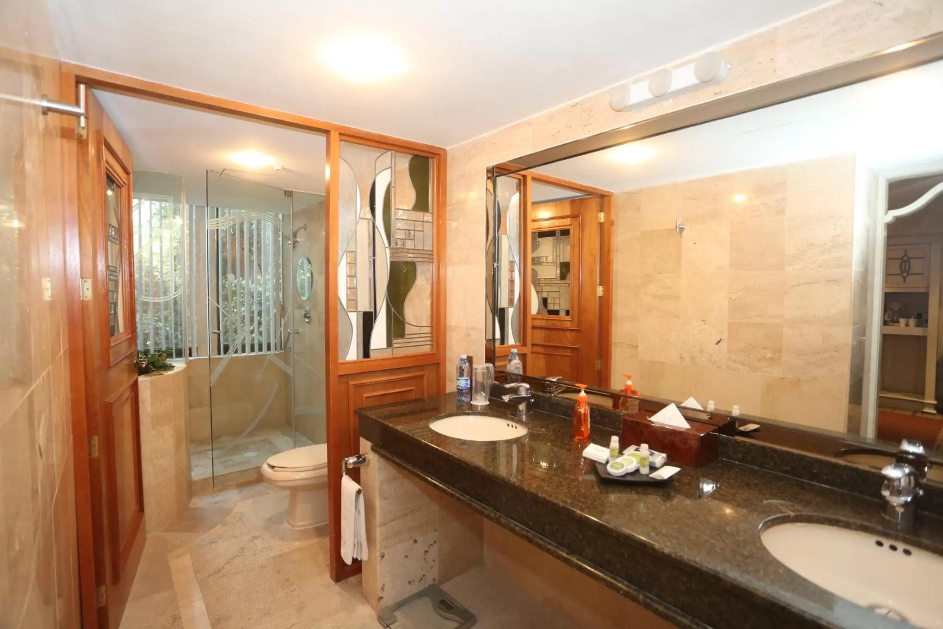 Bathroom in Hotel Park Nilo Reforma