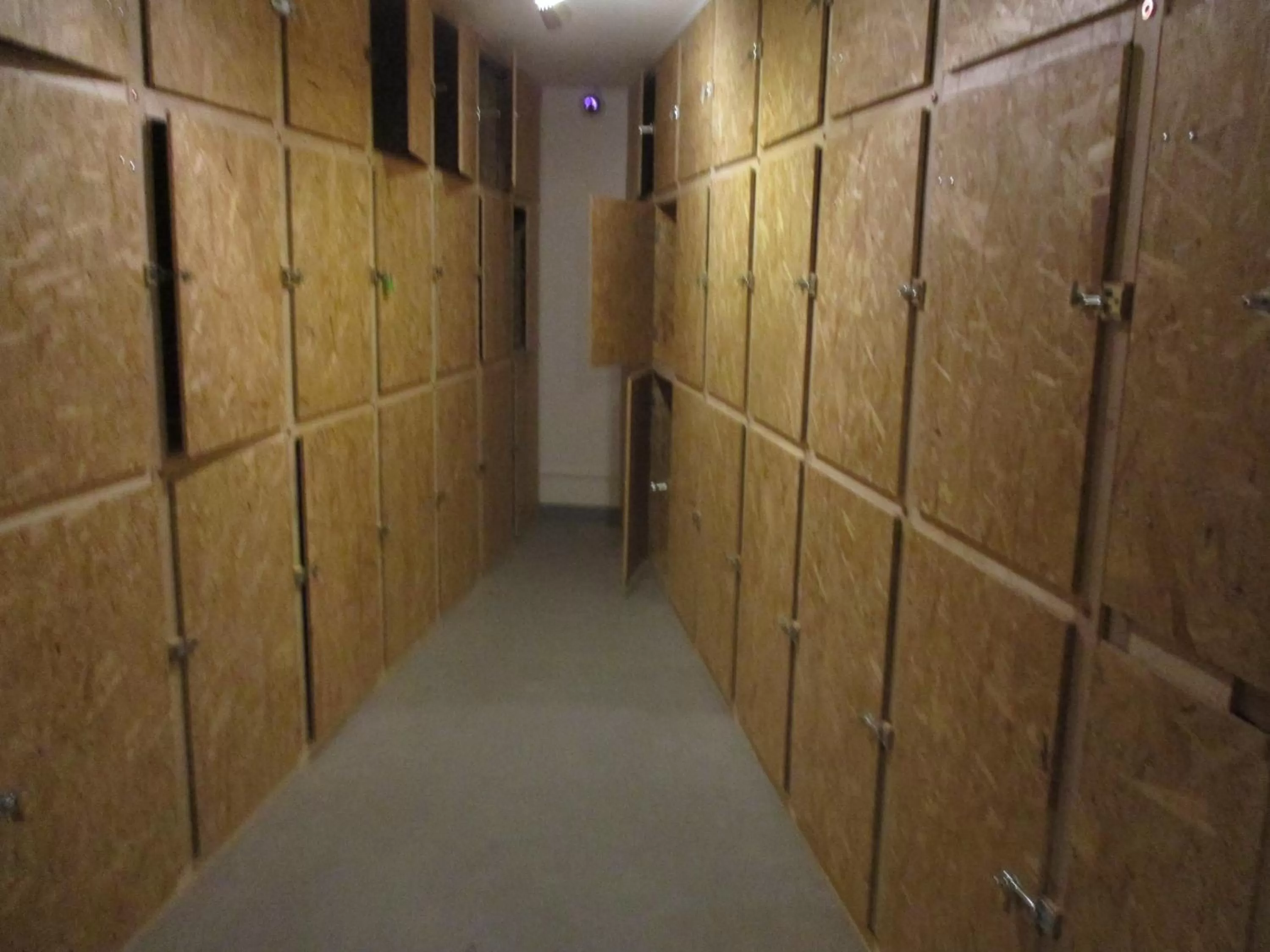 Decorative detail in Station - Hostel for Backpackers