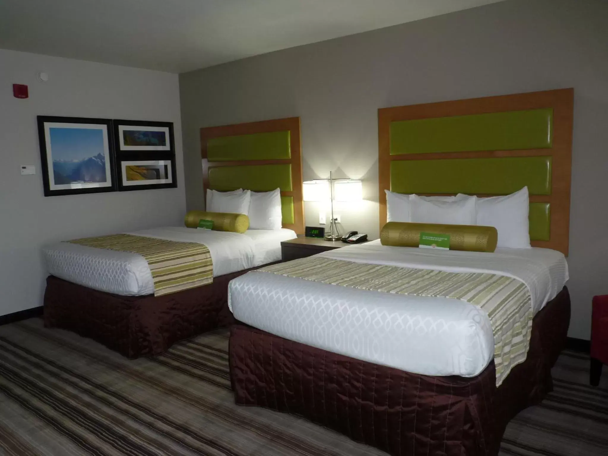 Bed in La Quinta by Wyndham Paducah Bed in La Quinta by Wyndham Paducah