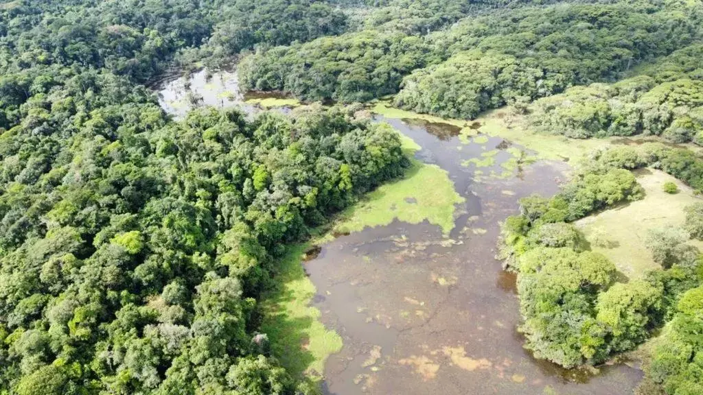 Bird's eye view, Bird's-eye View in Iguanitas Lodge