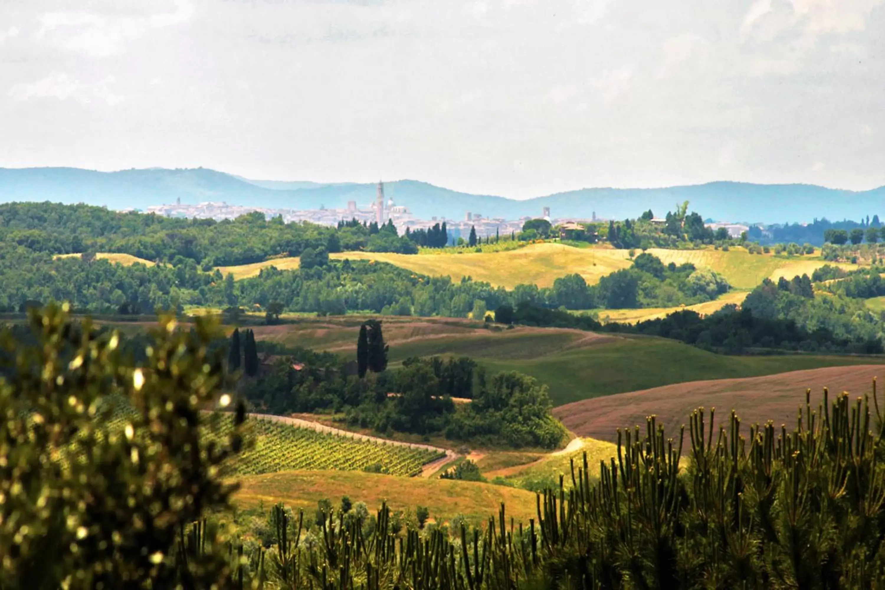 Natural landscape in Villa Curina Resort