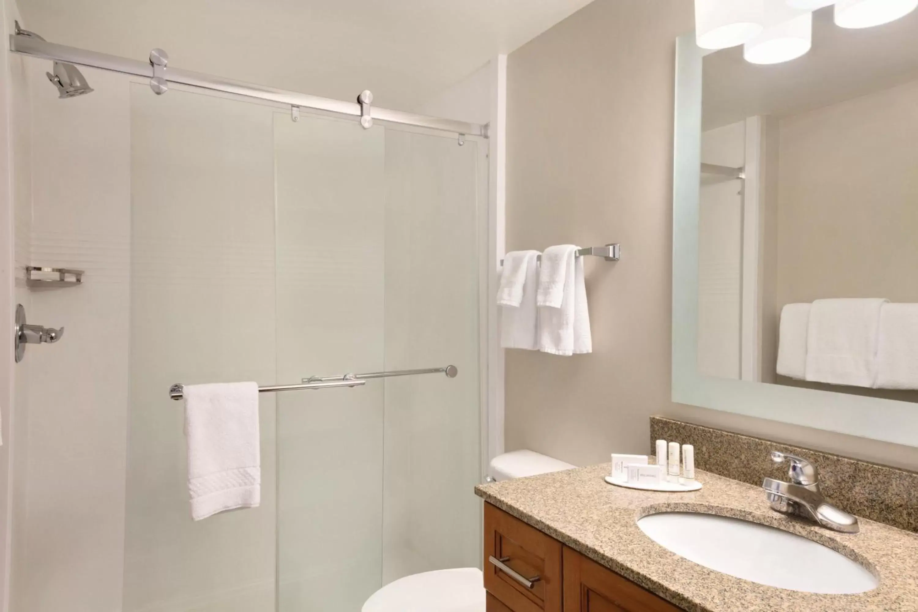 Bathroom in TownePlace Suites by Marriott Denver Downtown