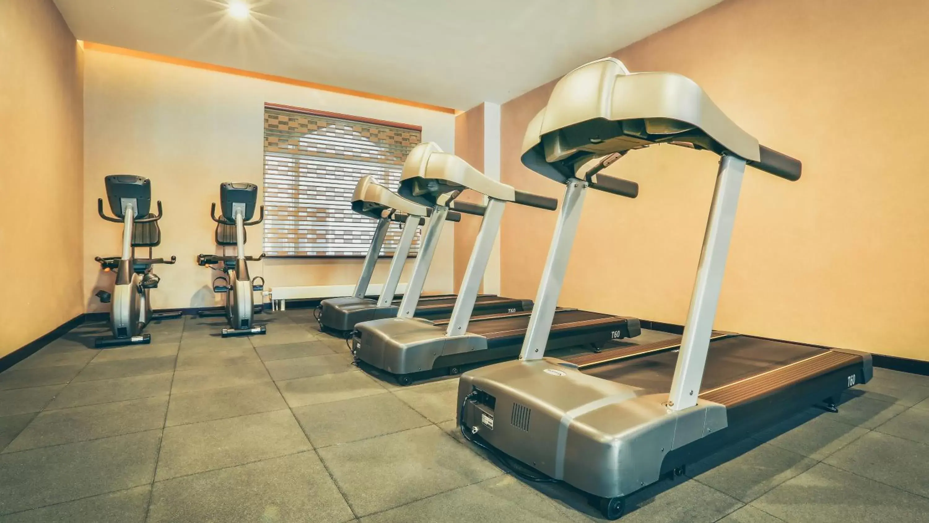 Fitness centre/facilities, Fitness Center/Facilities in Best Western Premier Tuushin Hotel