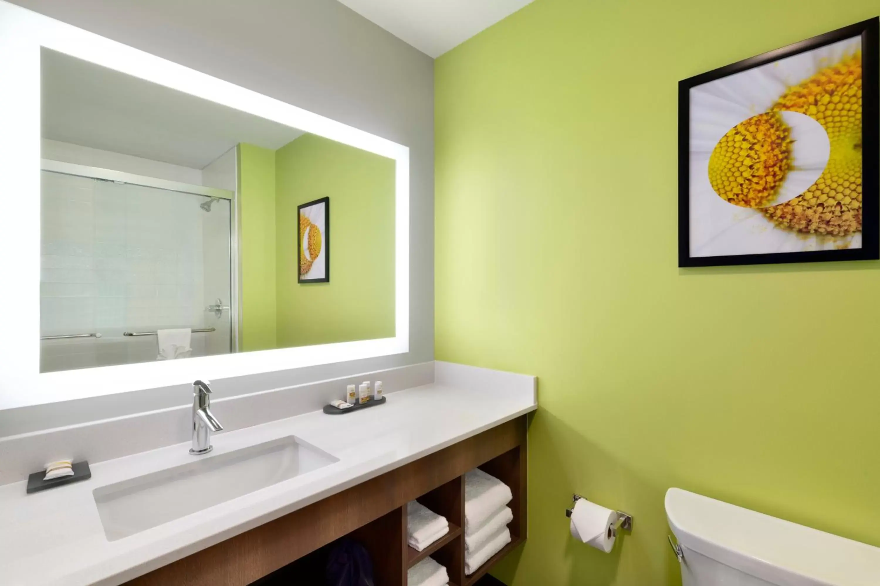 Shower, Bathroom in La Quinta Inn & Suites by Wyndham Braselton