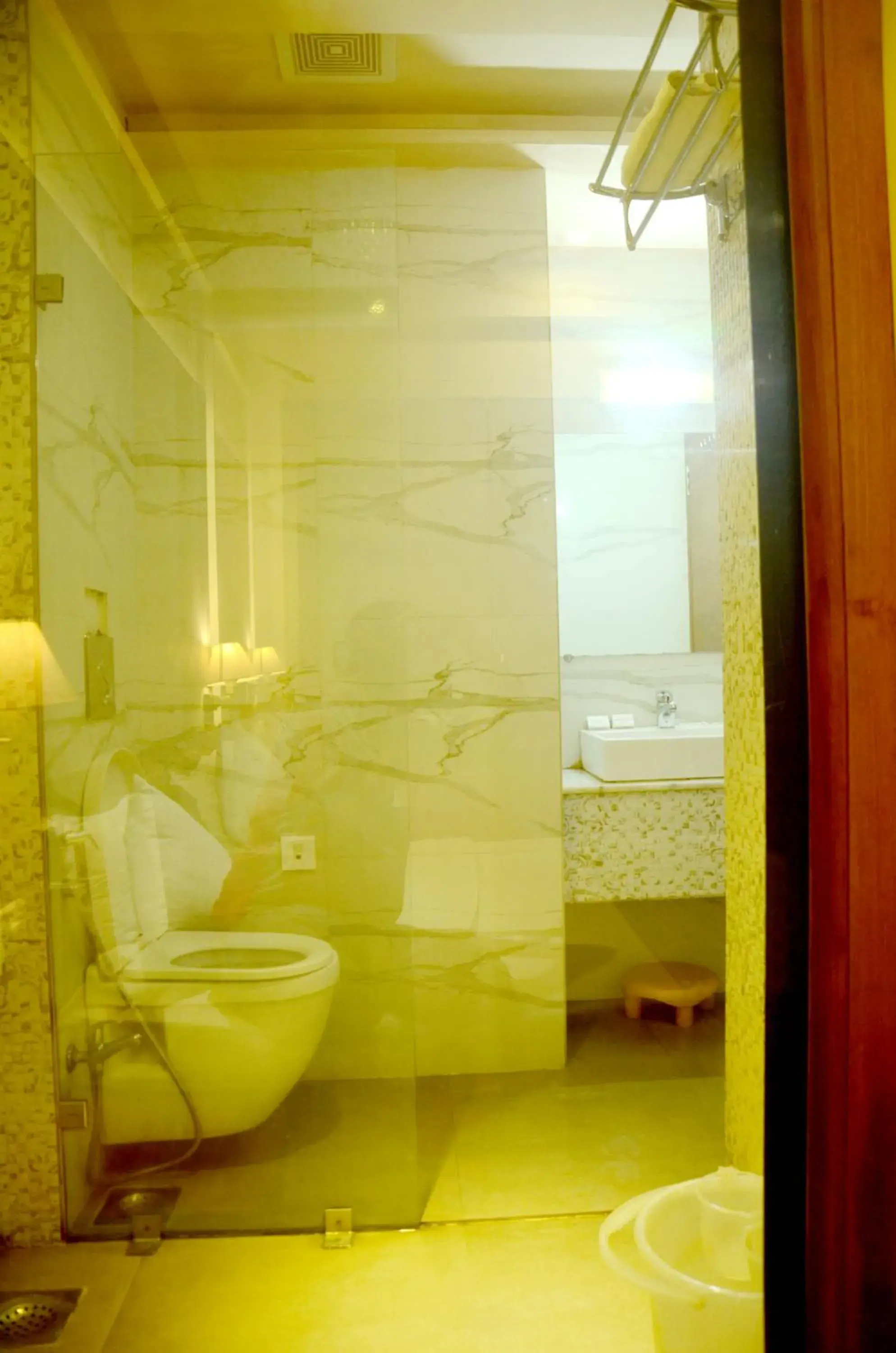 Bathroom in Hotel Shalimar Palace