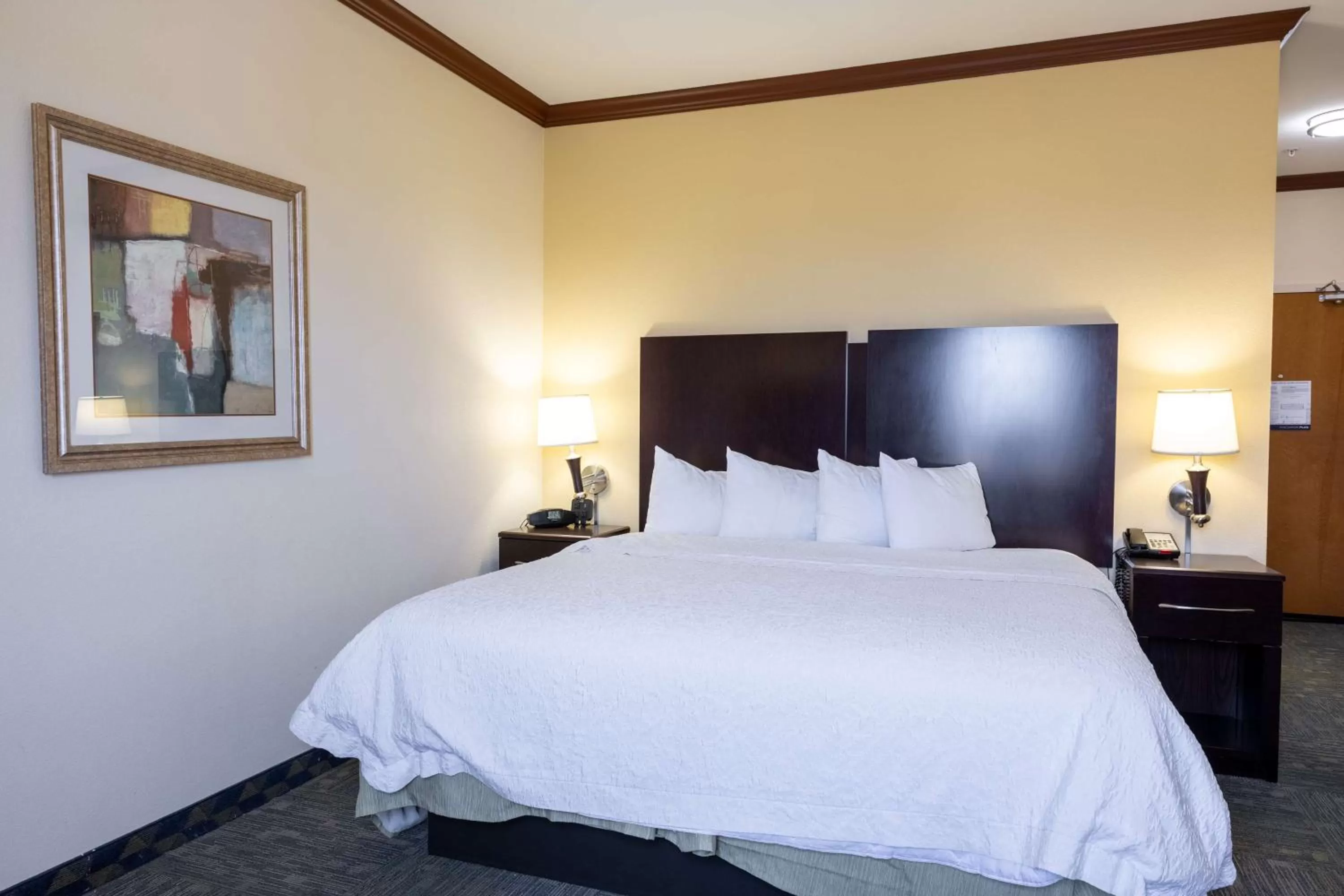 Bed in Hampton Inn Alice