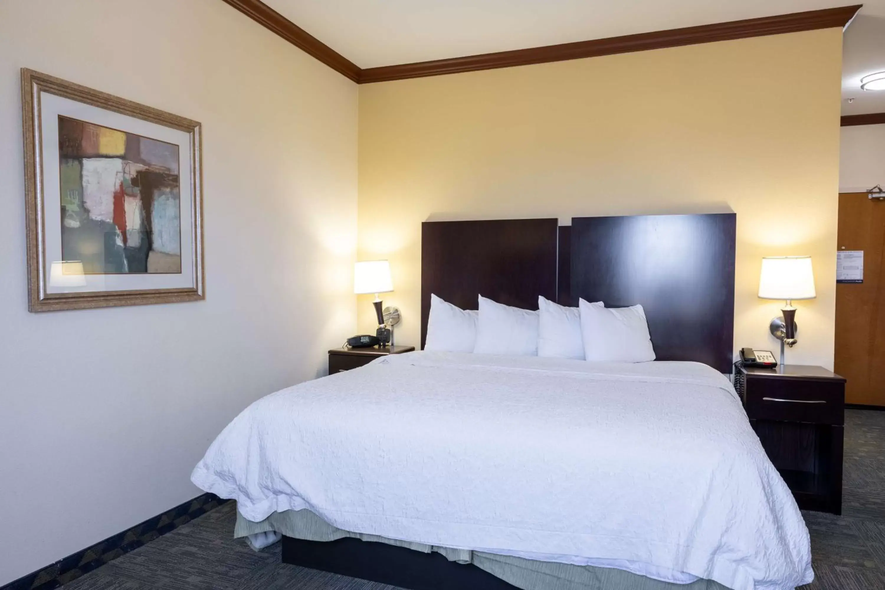 King Room with King Bed - Non-Smoking in Hampton Inn Alice King Room with King Bed - Non-Smoking in Hampton Inn Alice