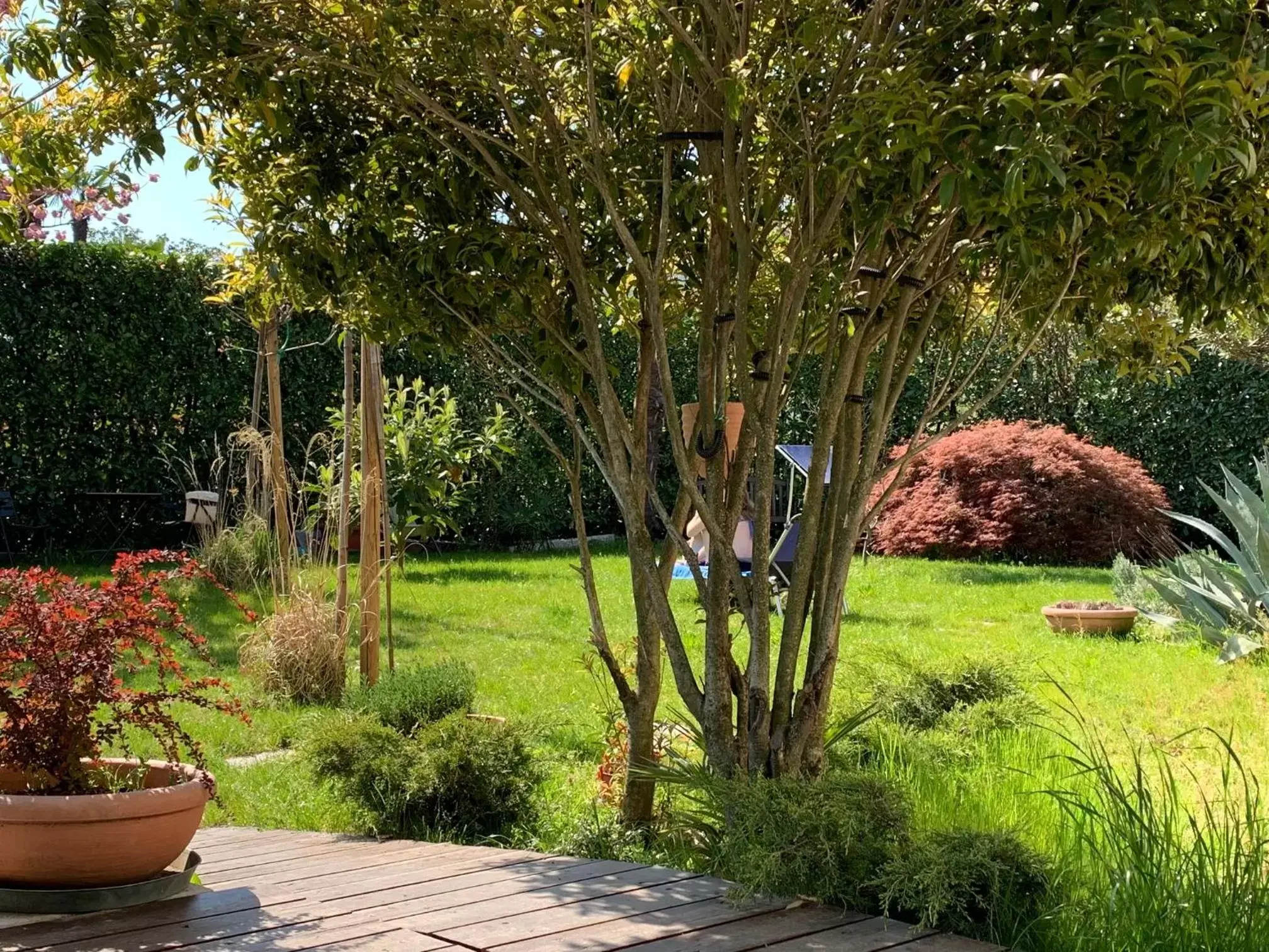 Spring, Garden in CASABELLA-LAGO MAGGIORE