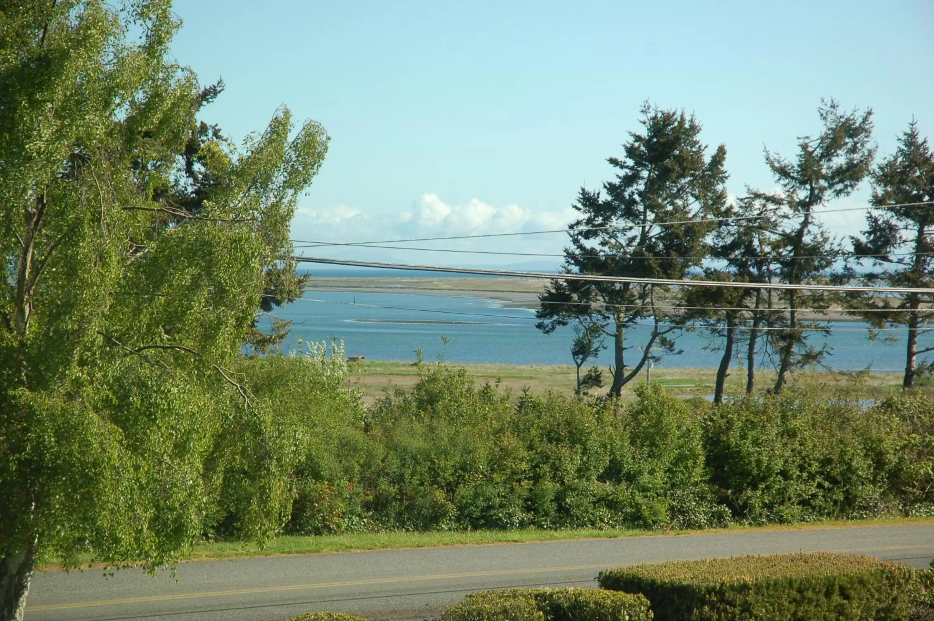 Balcony/Terrace in Greenhouse Inn by the Bay