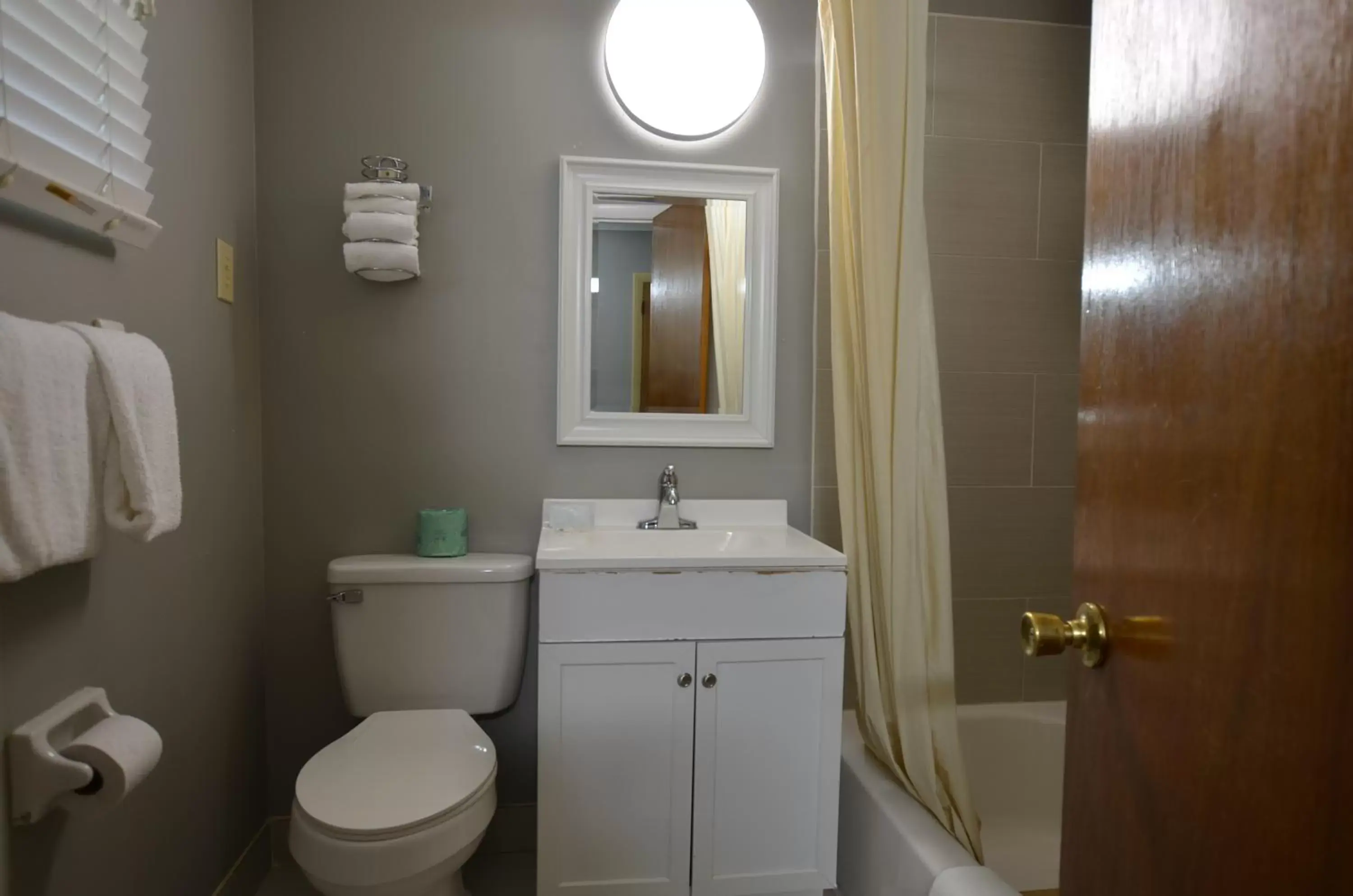 Toilet, Bathroom in Travelowes Motel - Maggie Valley