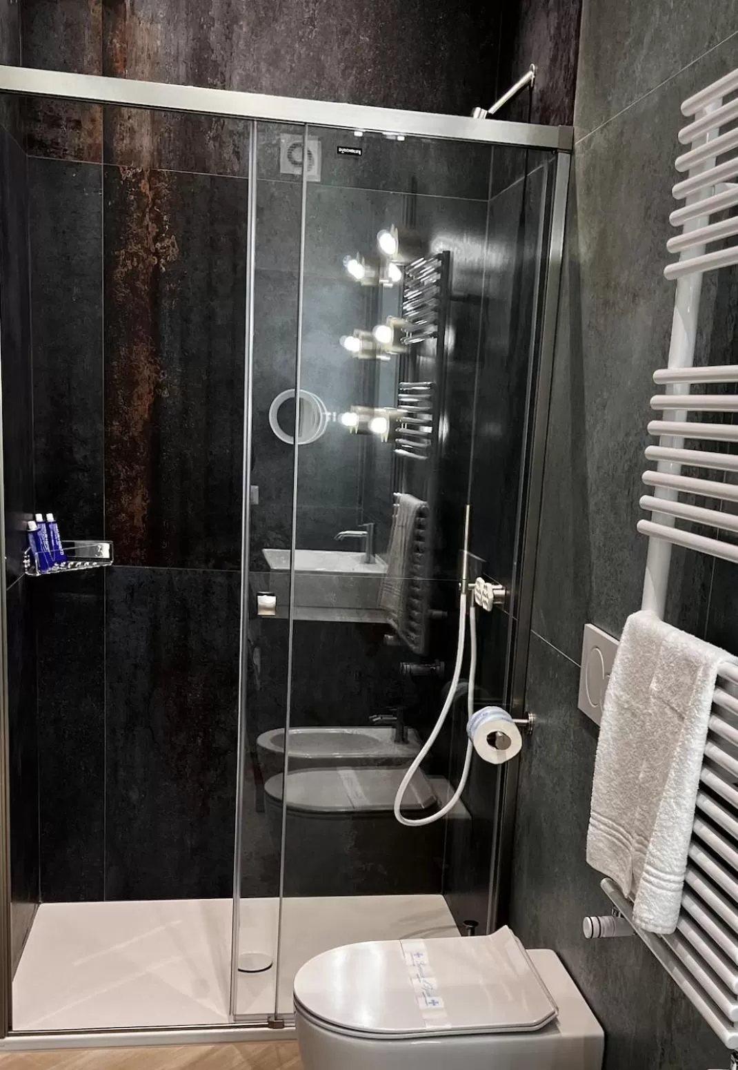 Shower in Patriziella 4 Rooms