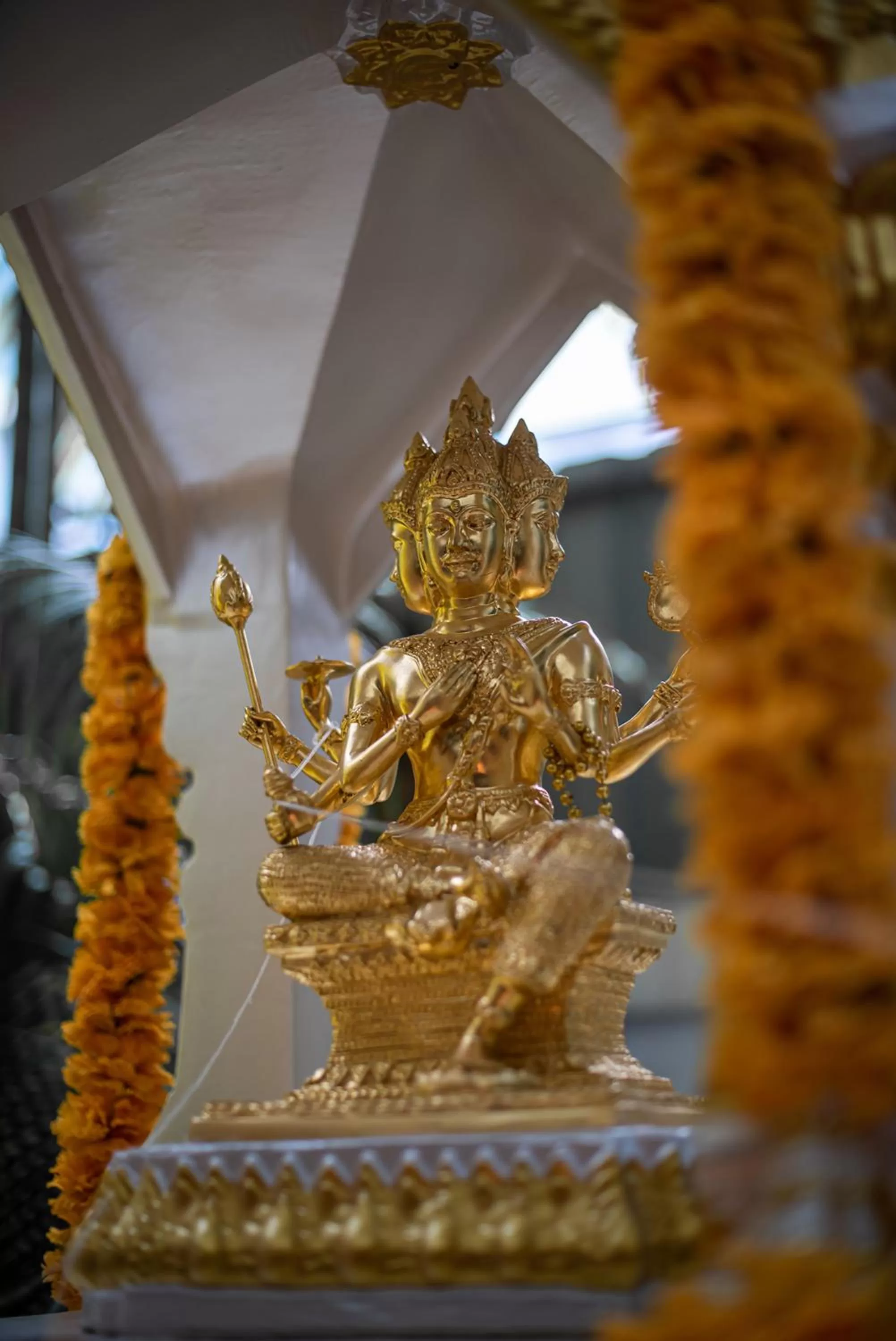 Property building in Benviar Tonson Residence