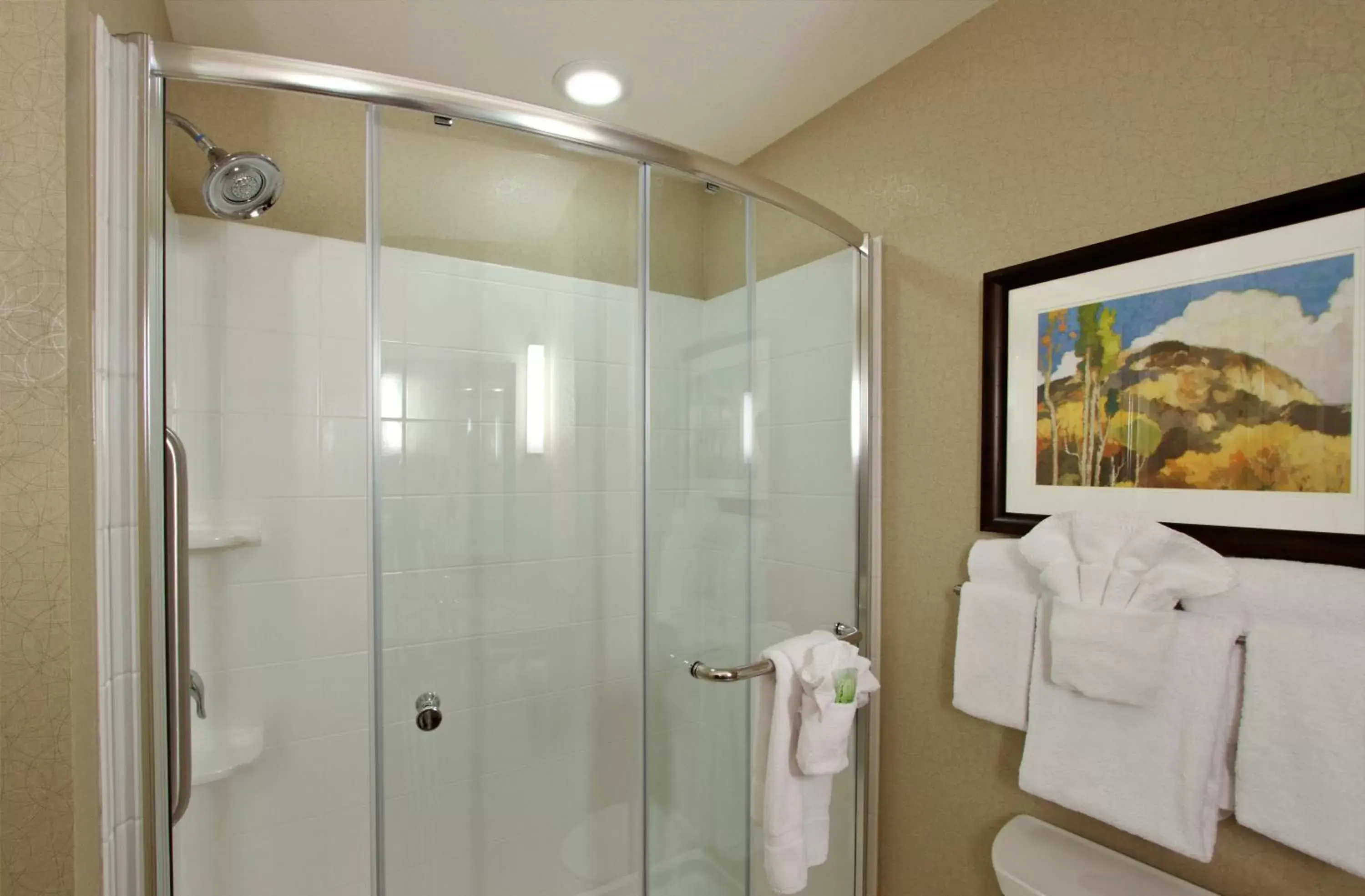 Bathroom in Holiday Inn Express - Colorado Springs - First & Main, an IHG Hotel