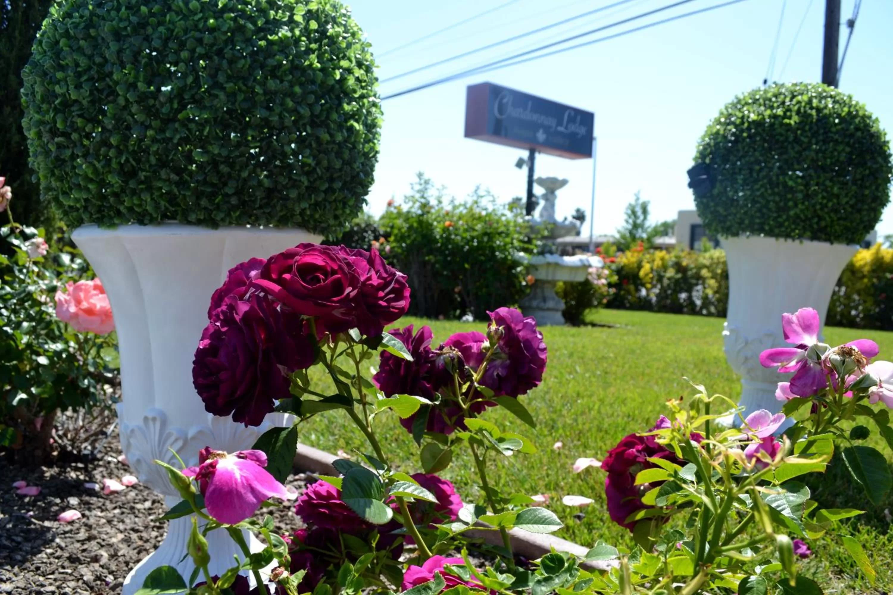 Day in Chardonnay Lodge