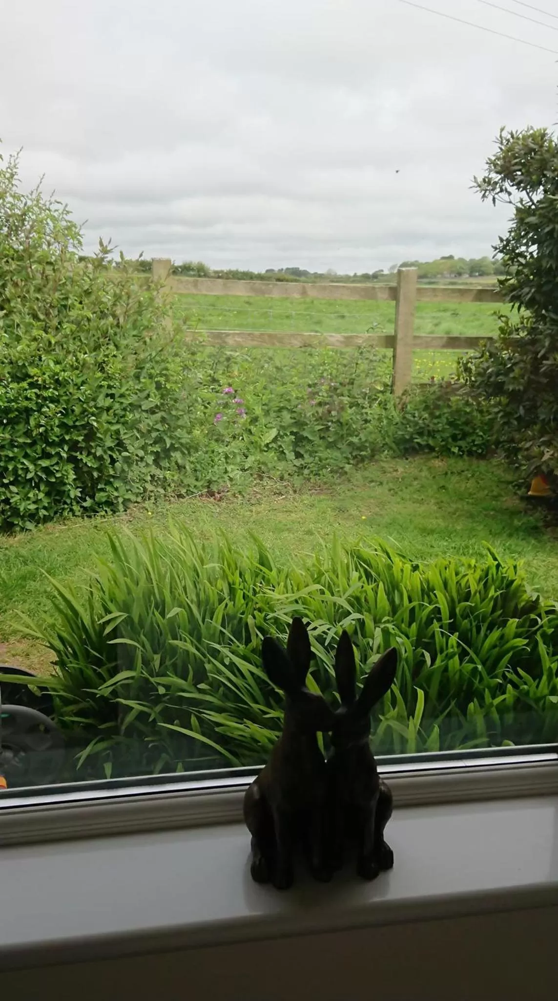 Rose Vean Bed & Breakfast