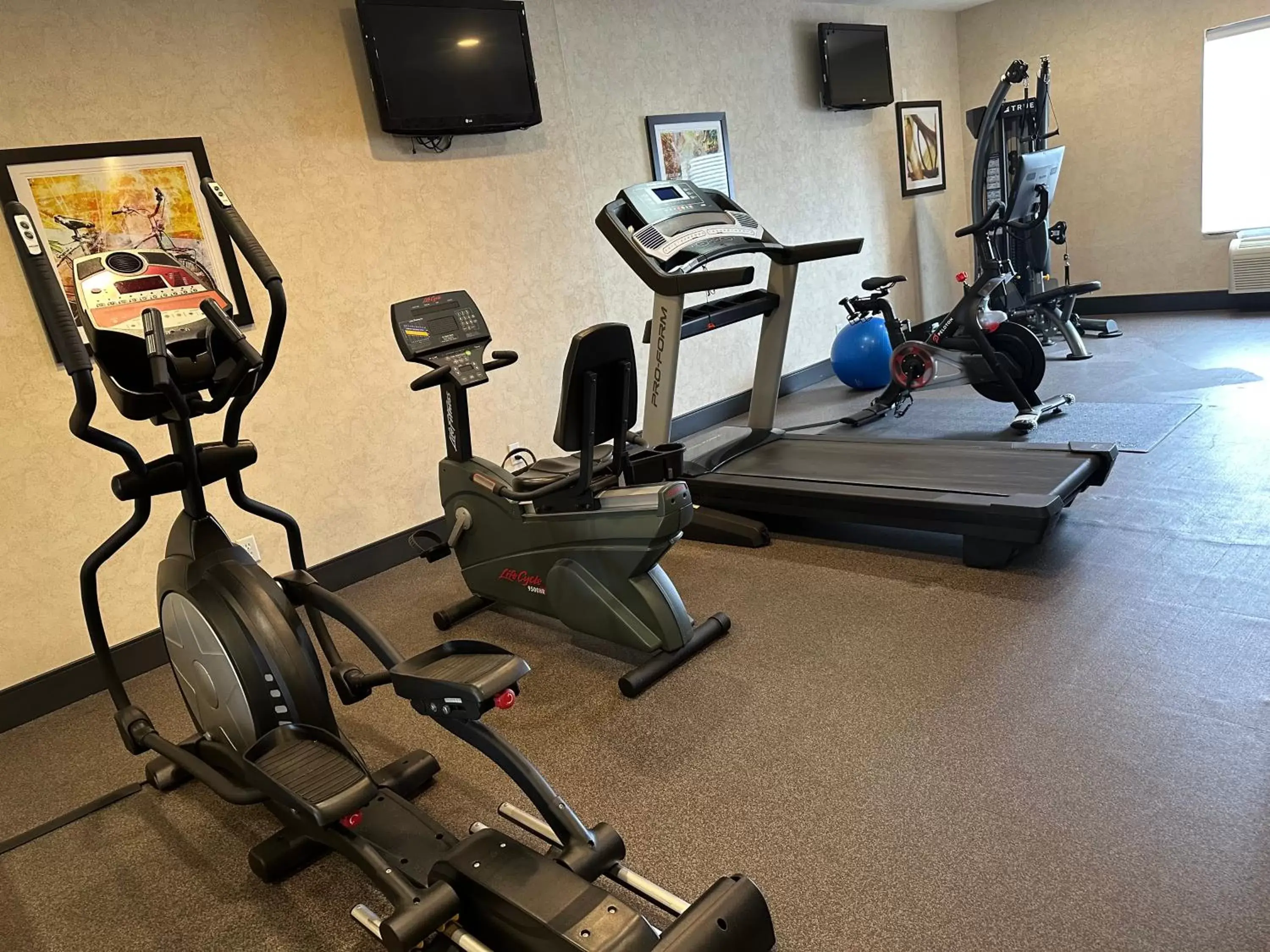 Fitness centre/facilities, Fitness Center/Facilities in Best Western Plus Howe Inn