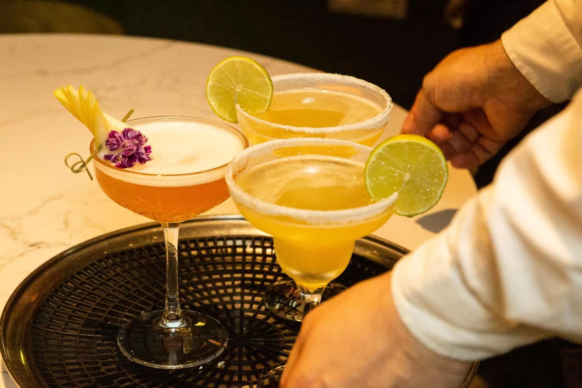 Lounge or bar in The Glasshouse