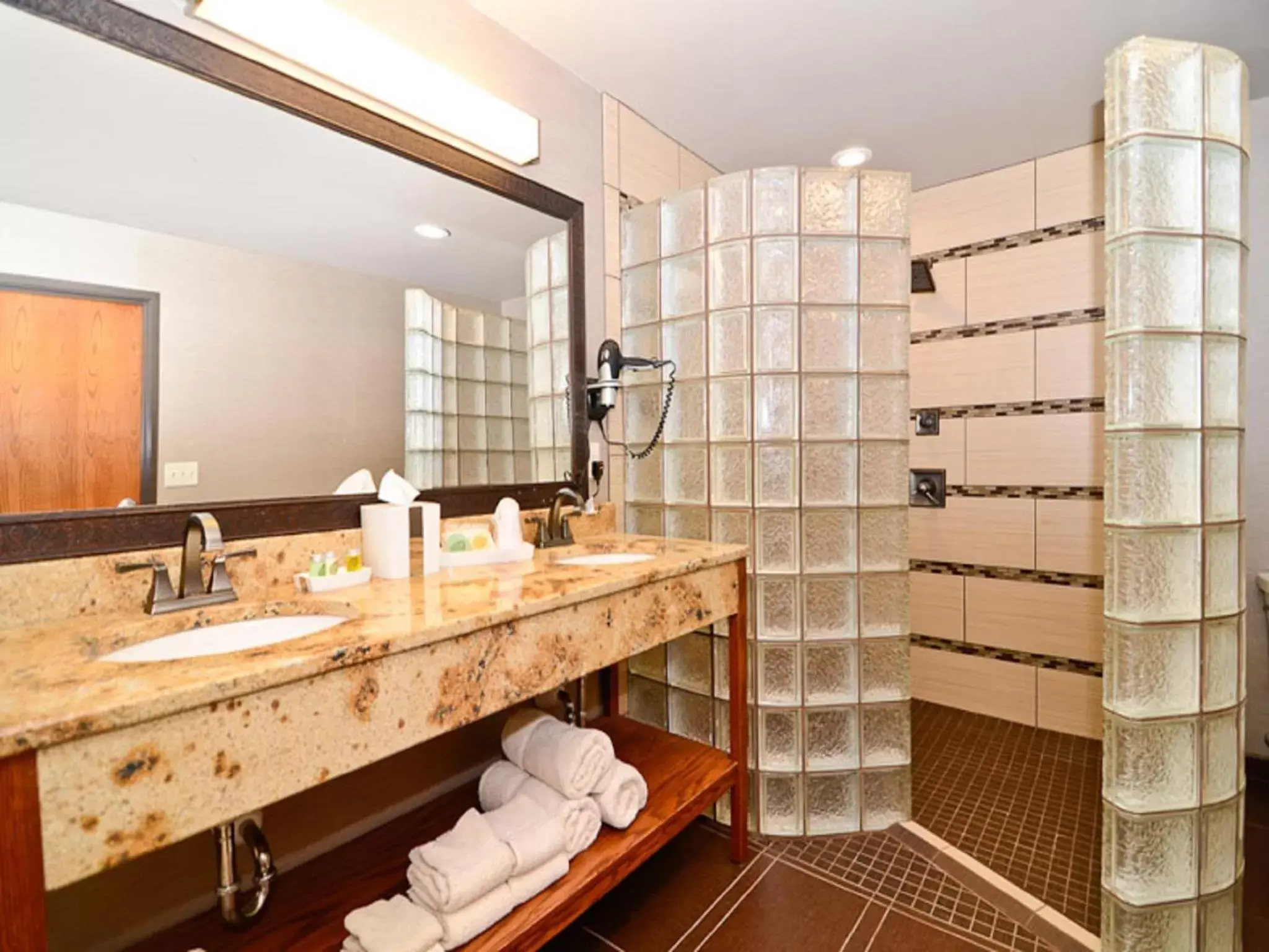 Shower, Bathroom in Astoria Extended Stay & Event Center