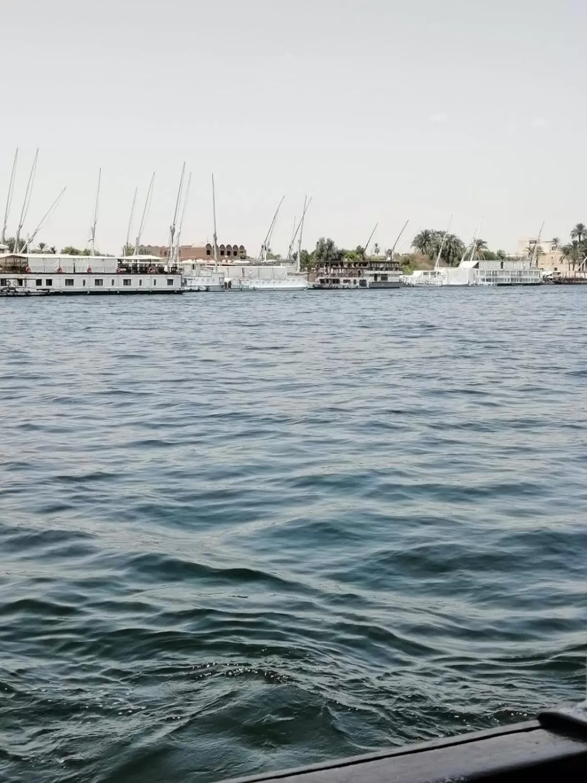 Windsor Hotel Luxor 中國人之家